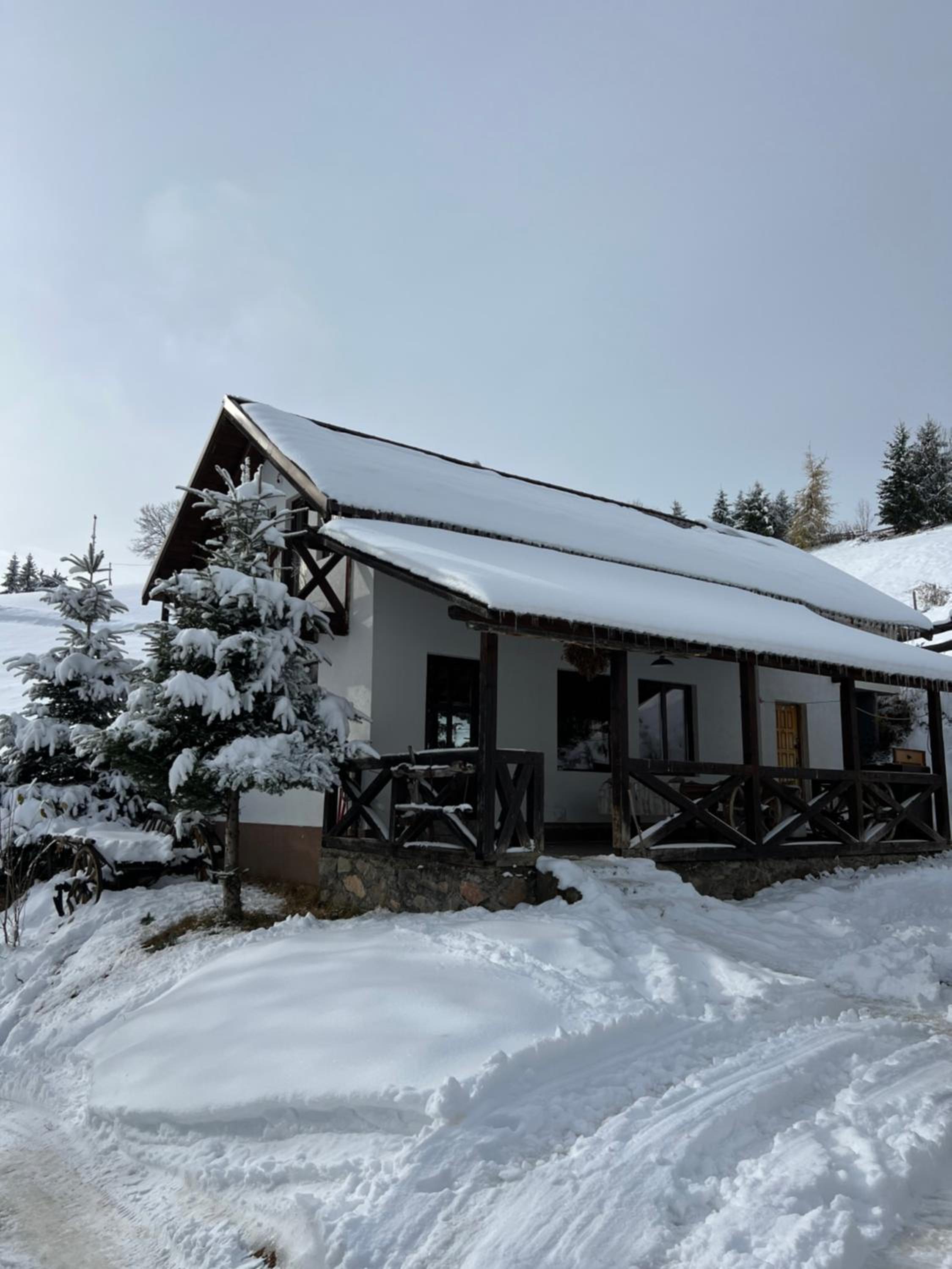 Panoramic House