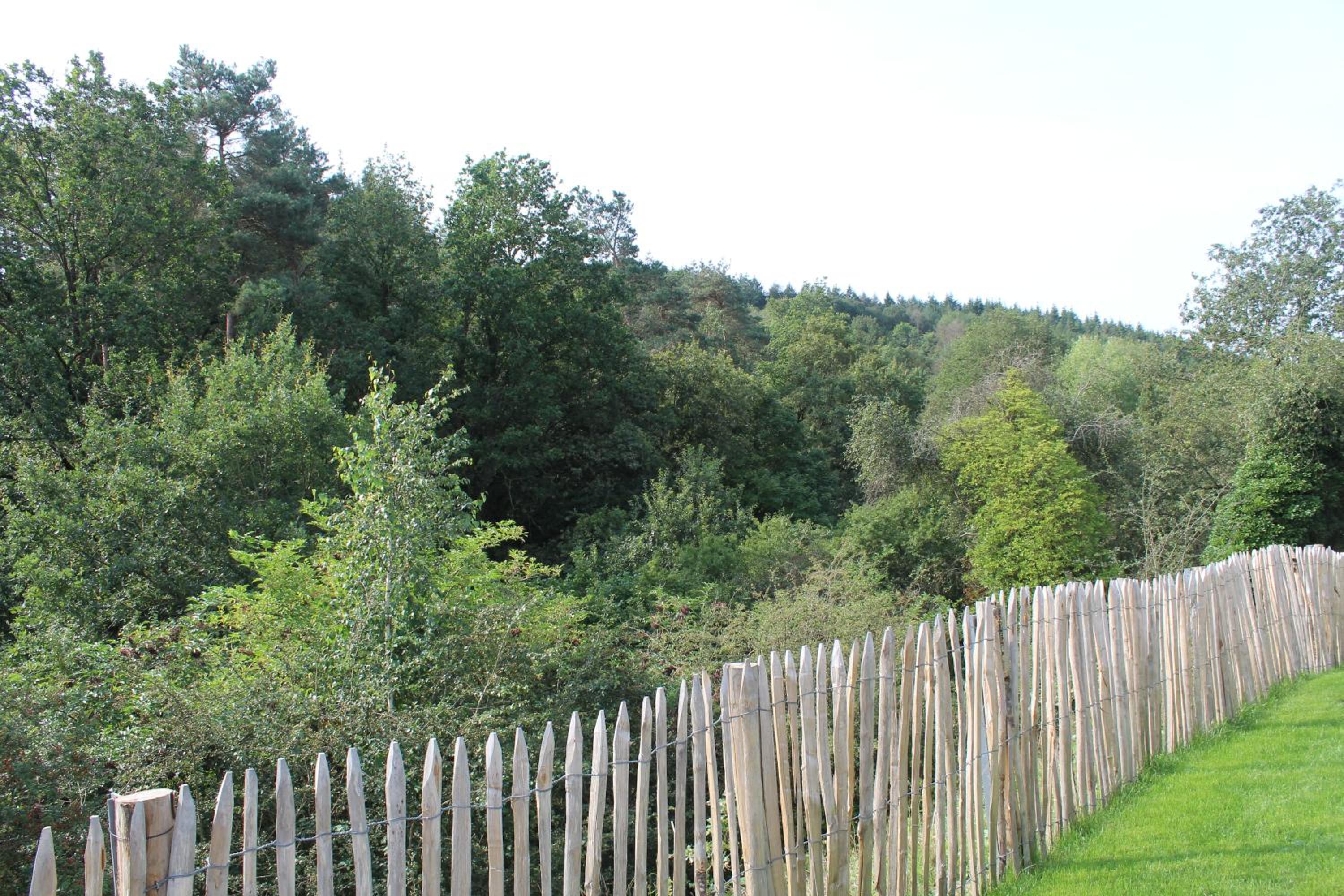 Vakantiehuis Ardennen Entre Ciel Et Forêt