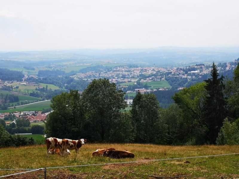 Ferienwohnung Hauzenberg Blick FeWo306