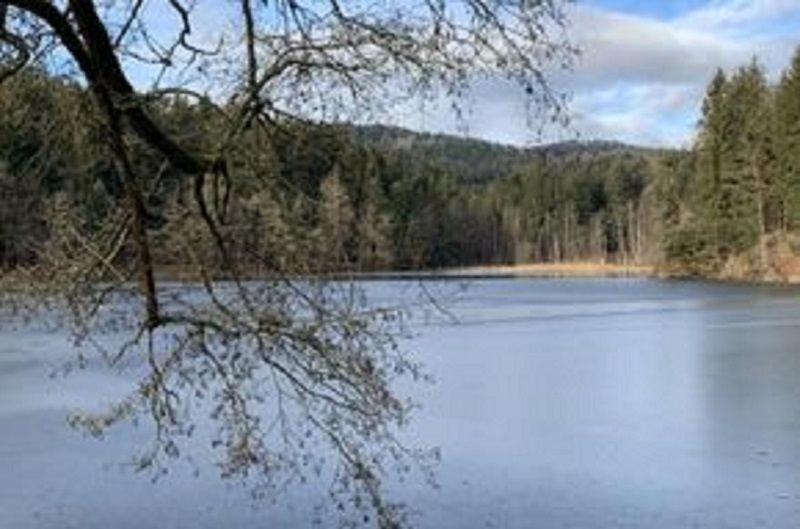 Ferienwohnung Hauzenberg Blick FeWo306