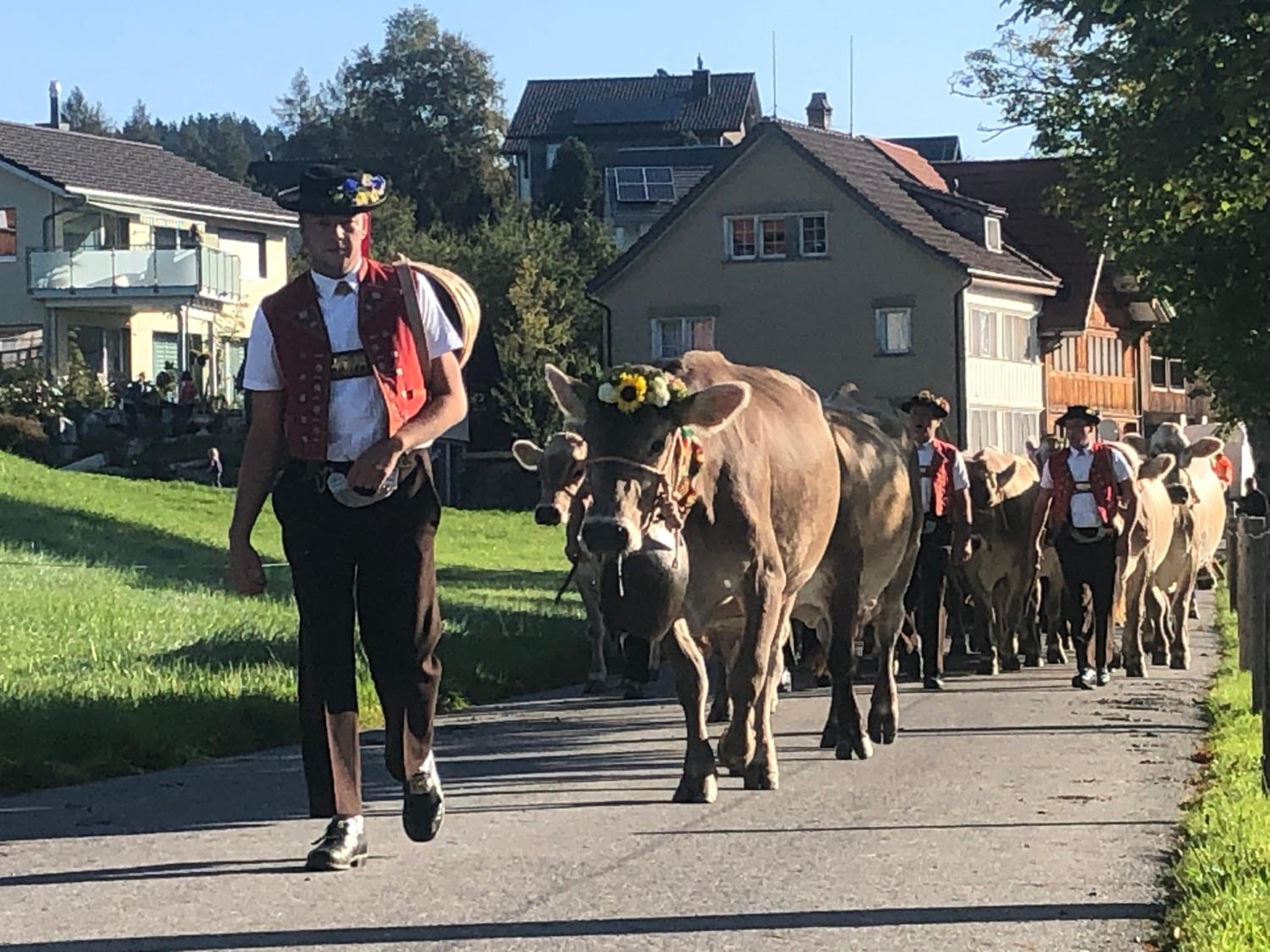 Ferienwohnung mit Aussicht