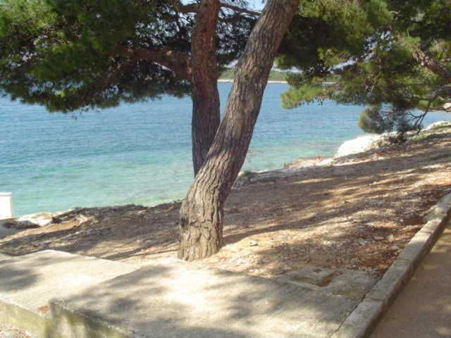 Photo 40