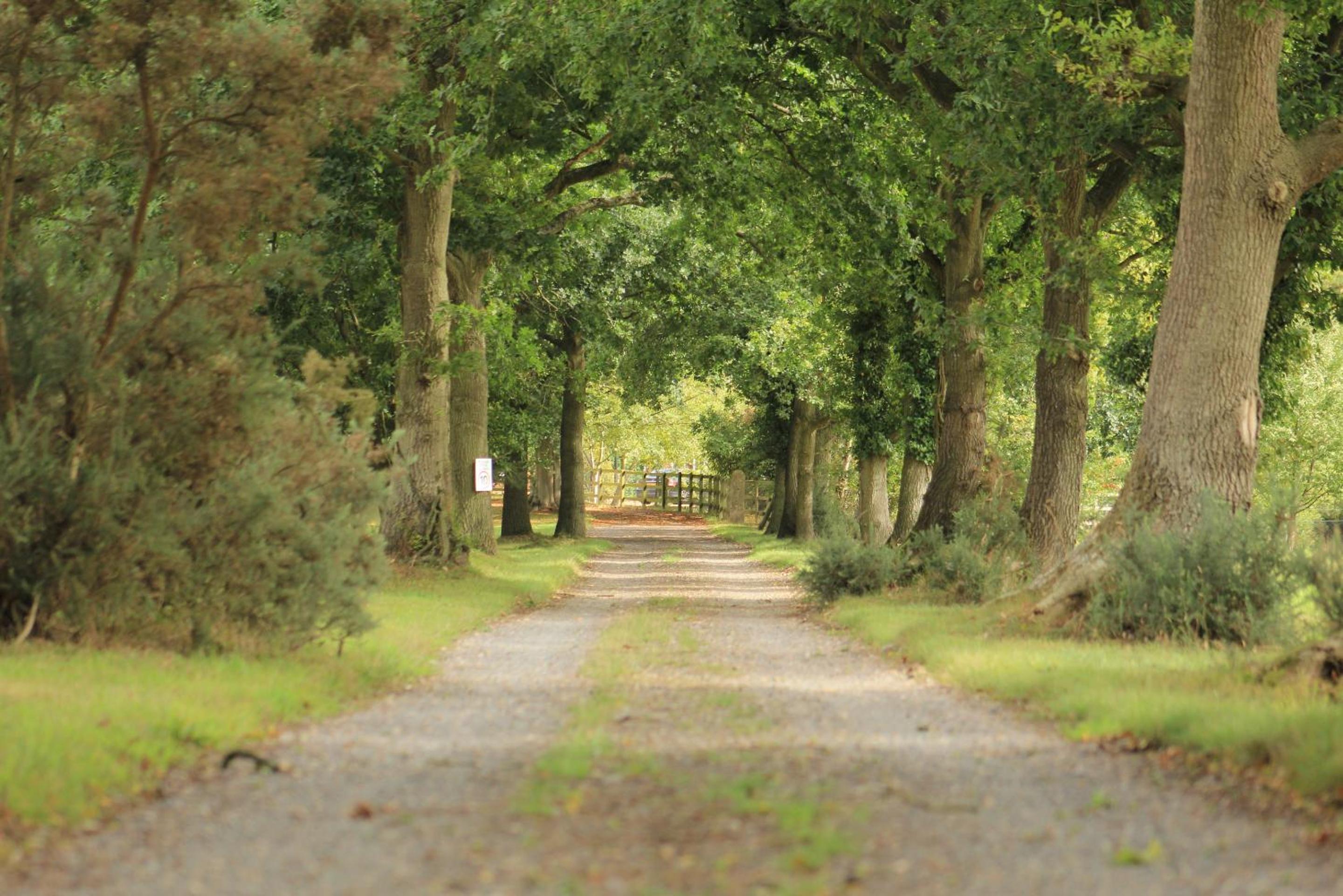 Woodman's Farm