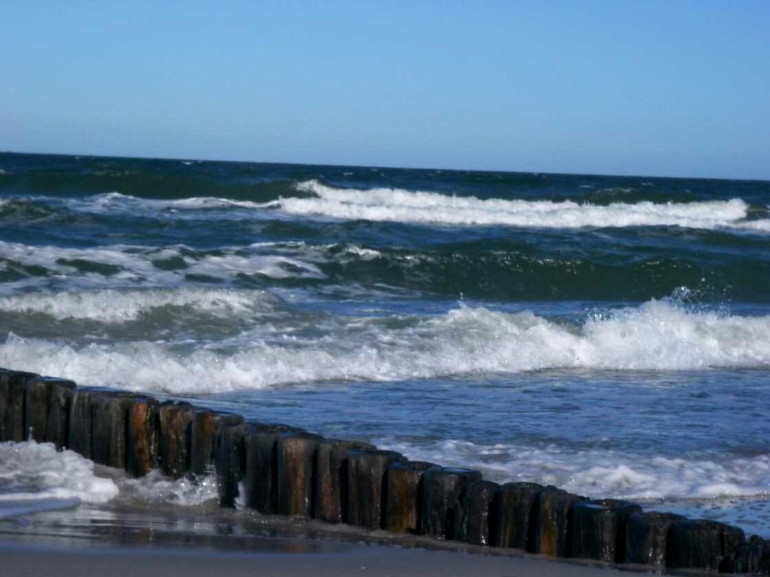 Appartement im Fischerhaus Hiddensee 22 qm