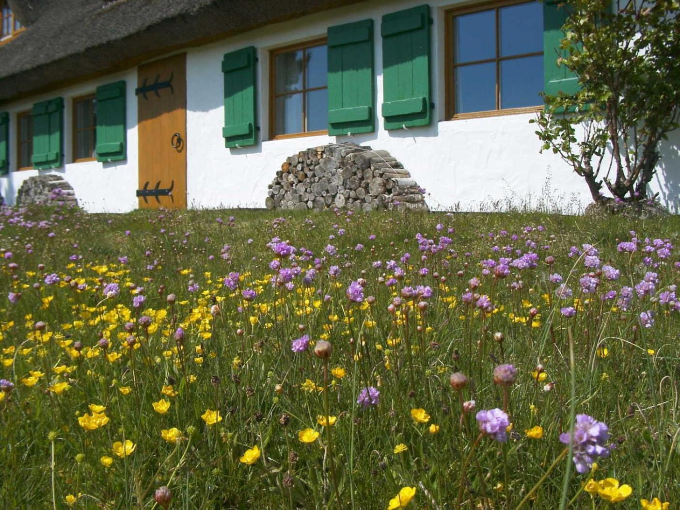 Appartement im Fischerhaus Hiddensee 22 qm