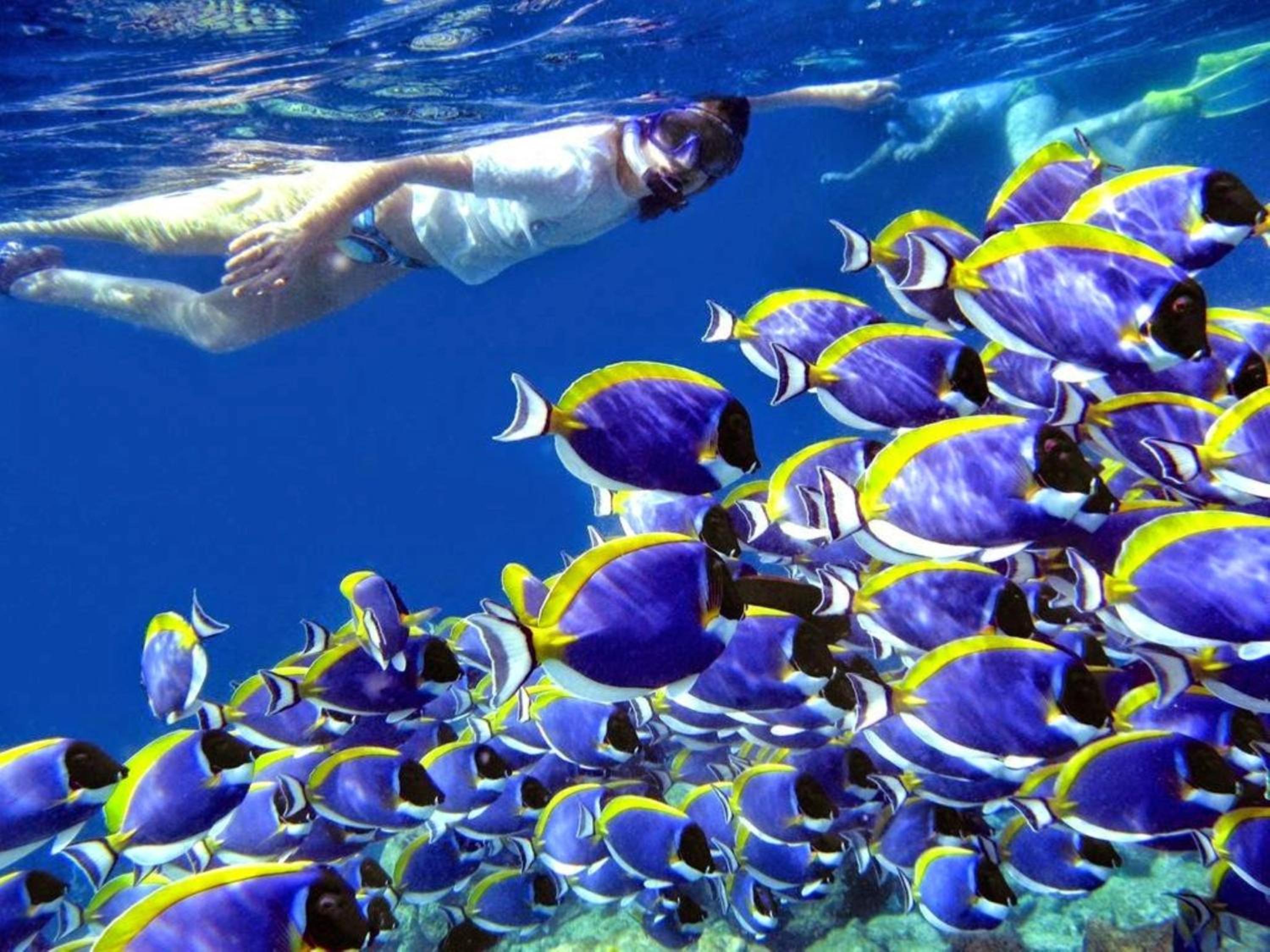 Madi Grand Maldives