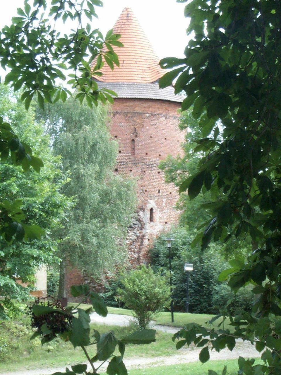 Photo 12
