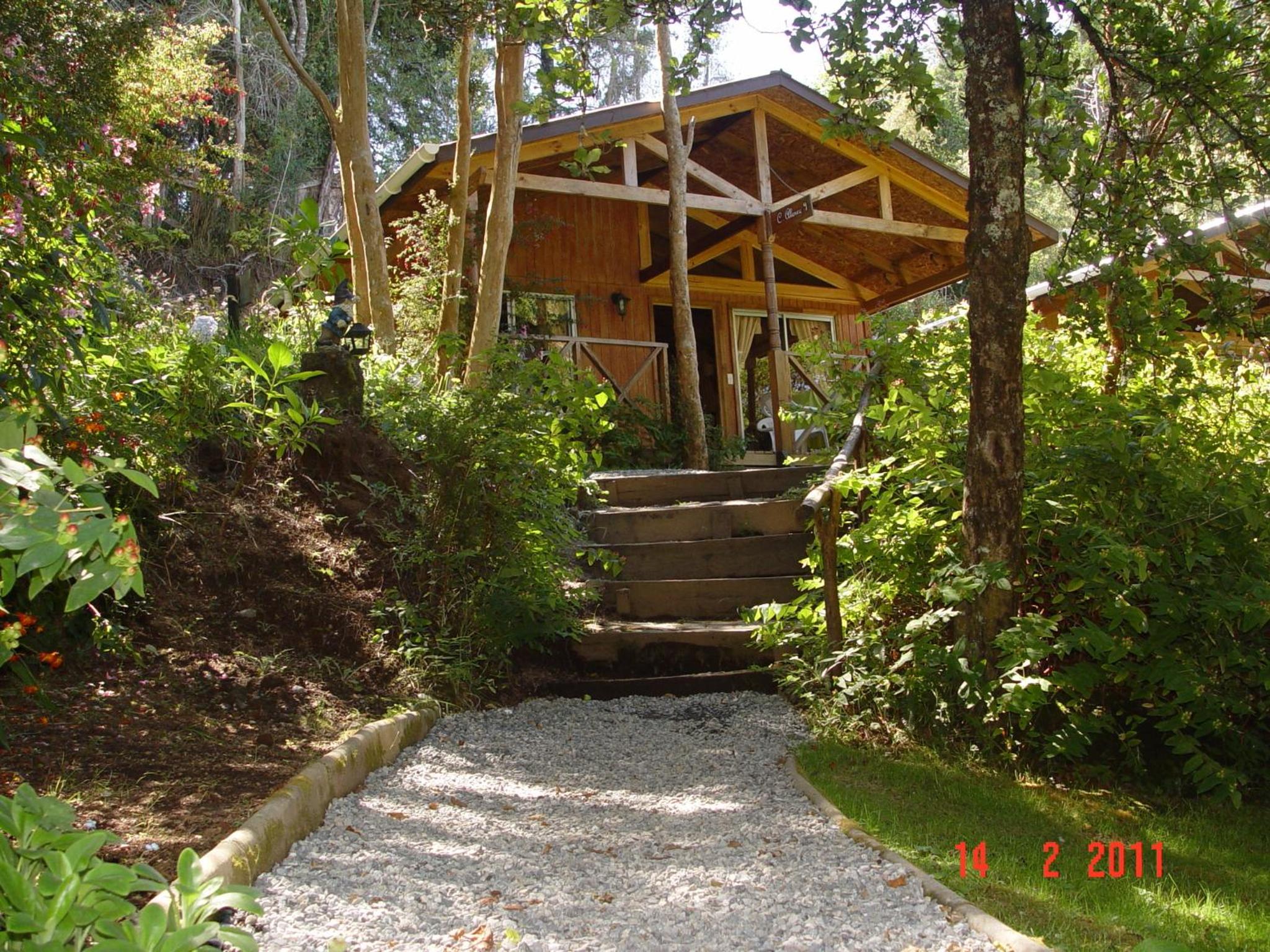 Photo 8