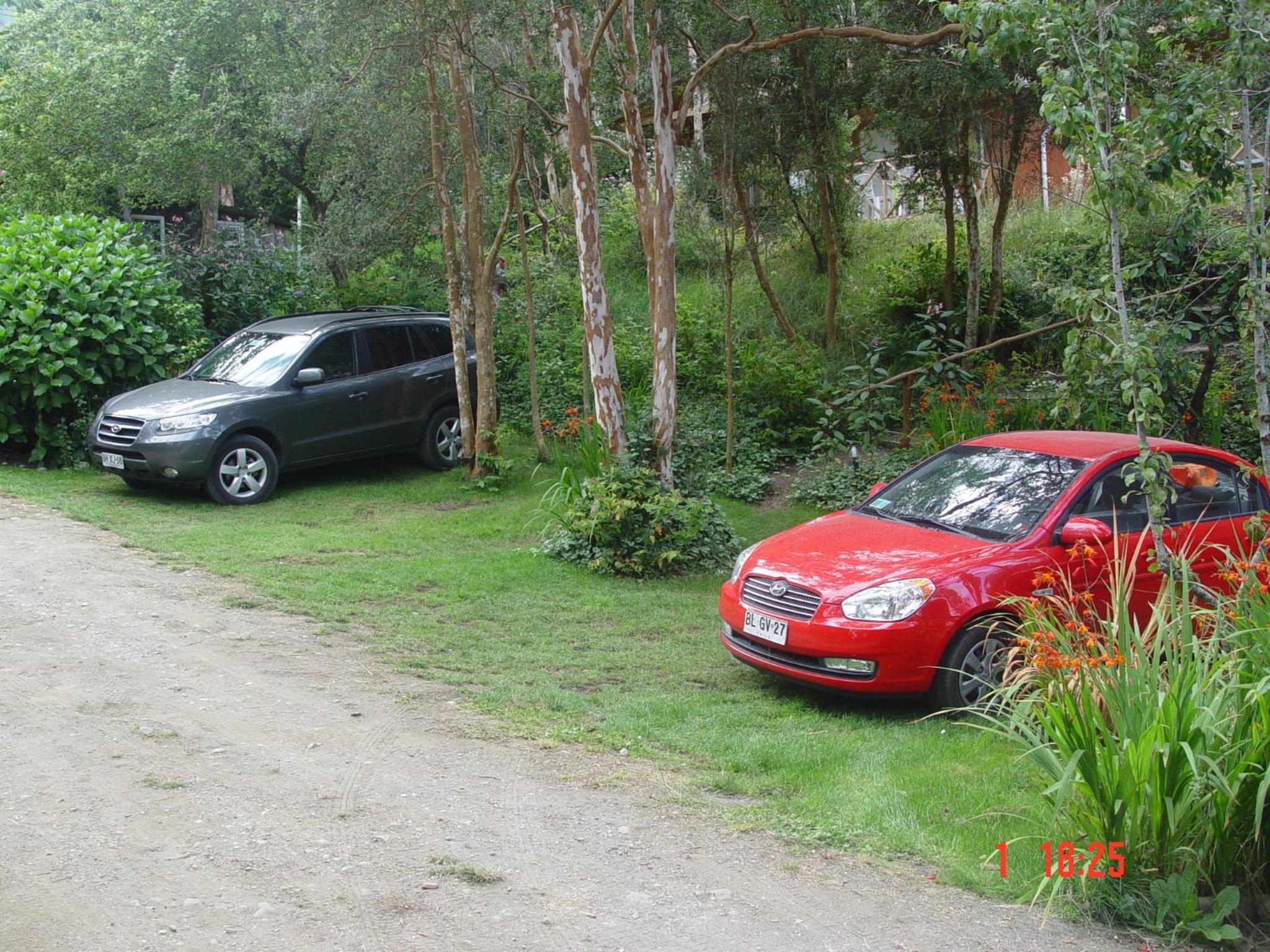 Photo 13