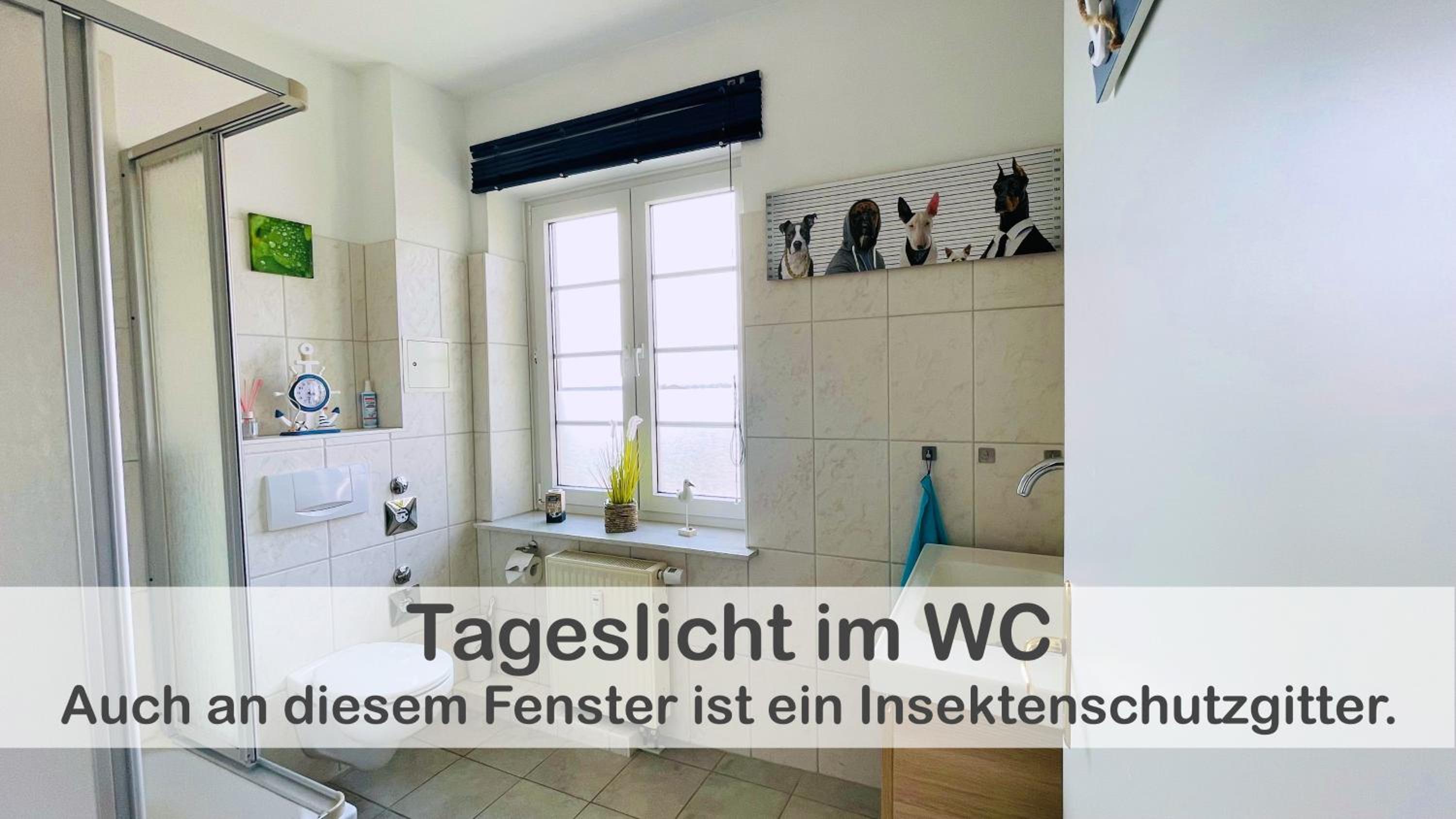 Fewo Anker im Gutshaus Hohen Wieschendorf, Entschleunigung pur für erholsame Tage