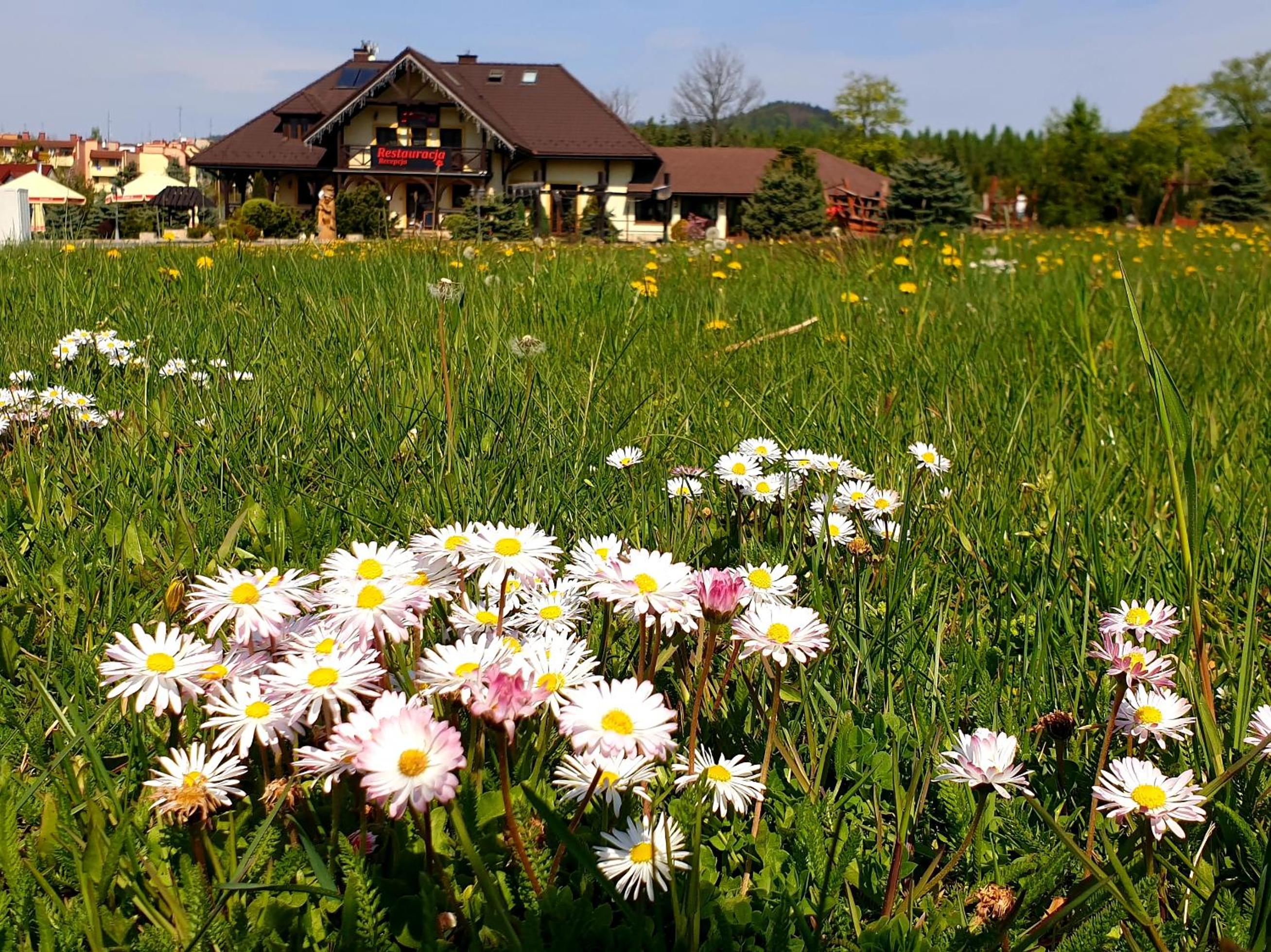 Tajemniczy Ogród Szczytna - Bed & Breakfast view 2