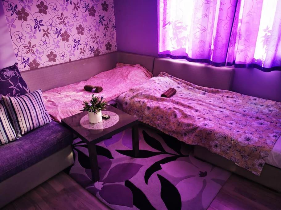 Apartment Lavender, near to airport Sofia
