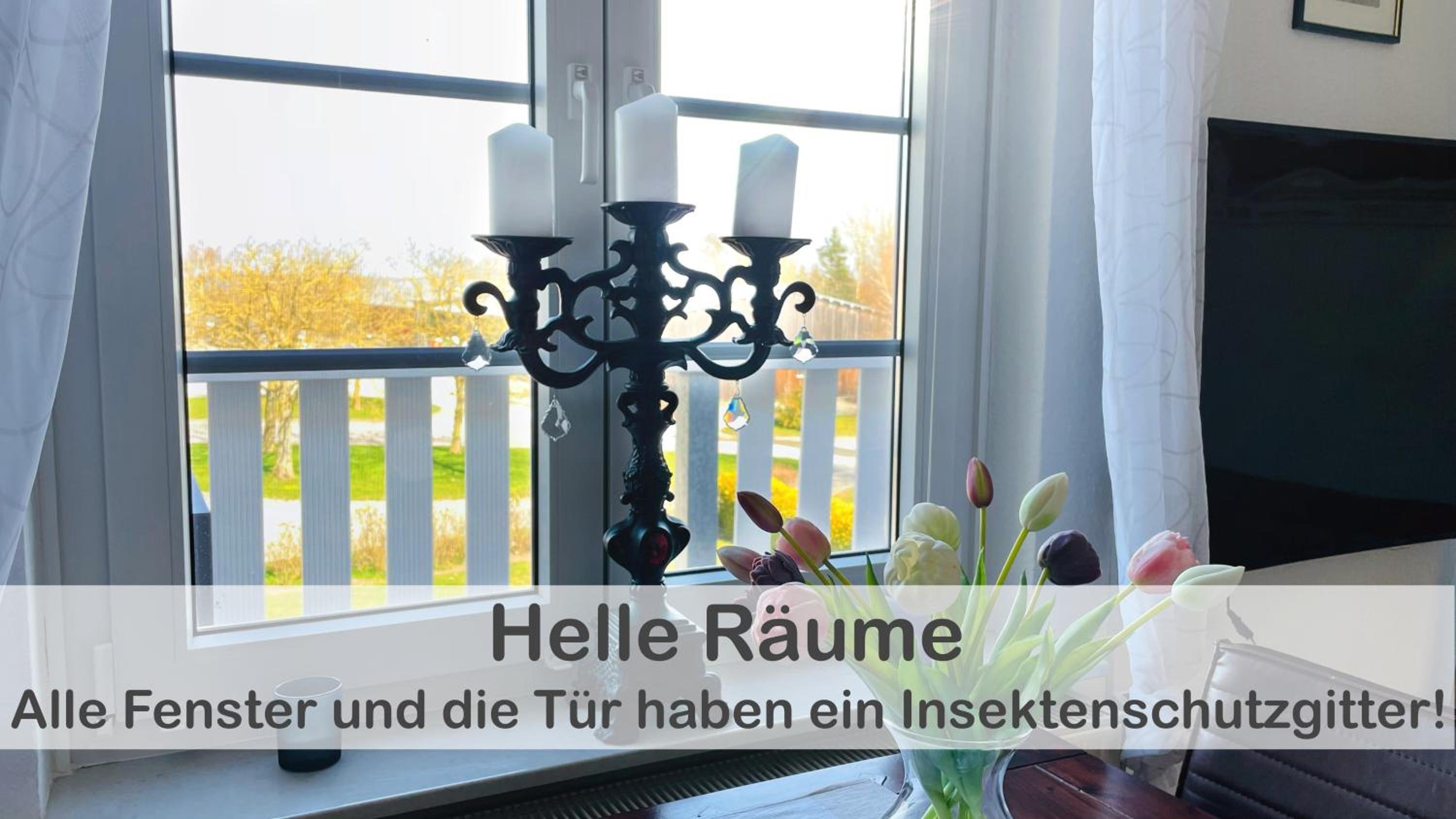 Fewo Anker im Gutshaus Hohen Wieschendorf, Entschleunigung pur für erholsame Tage