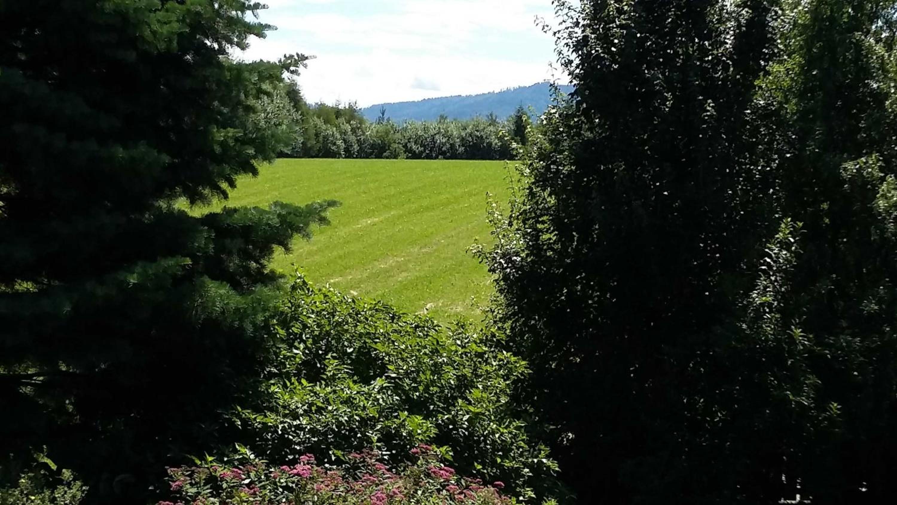 Ferienwohnung in Haidach