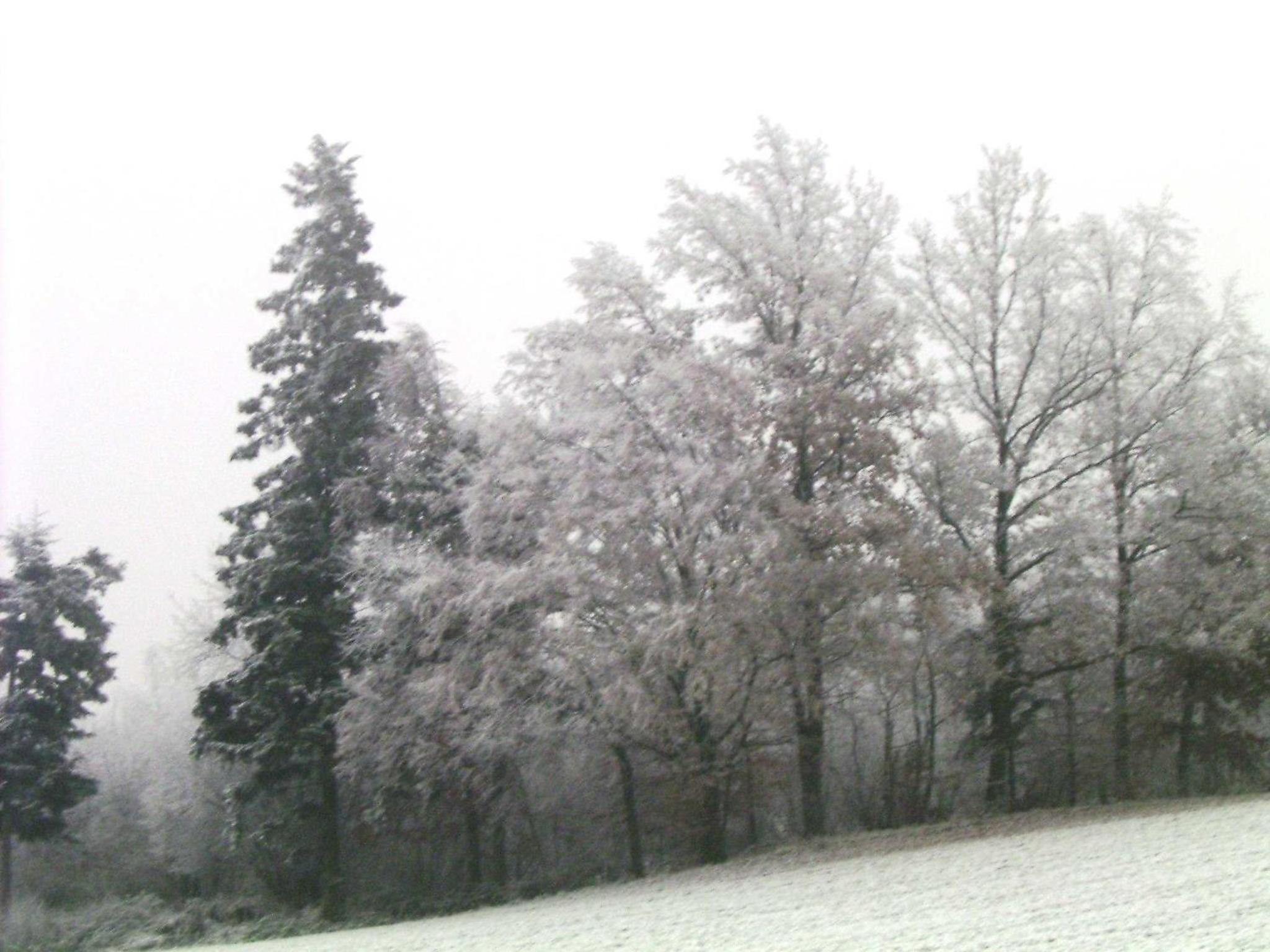 Ferienwohnung in Haidach