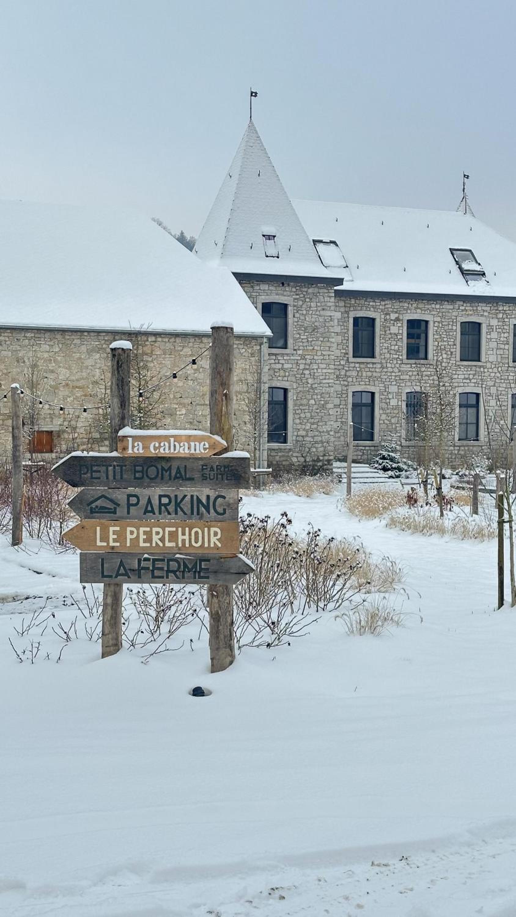 Penthouse : immersion dans la nature