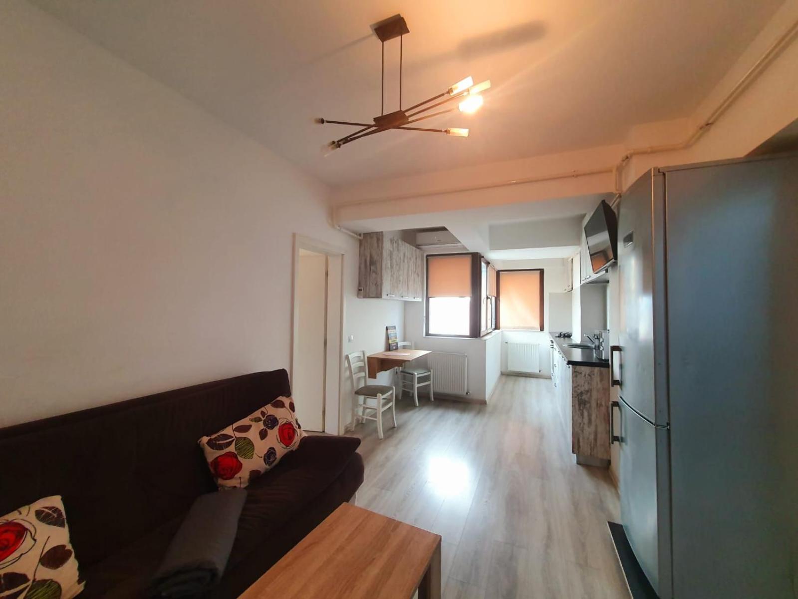 Oancea Residence - Image 4
