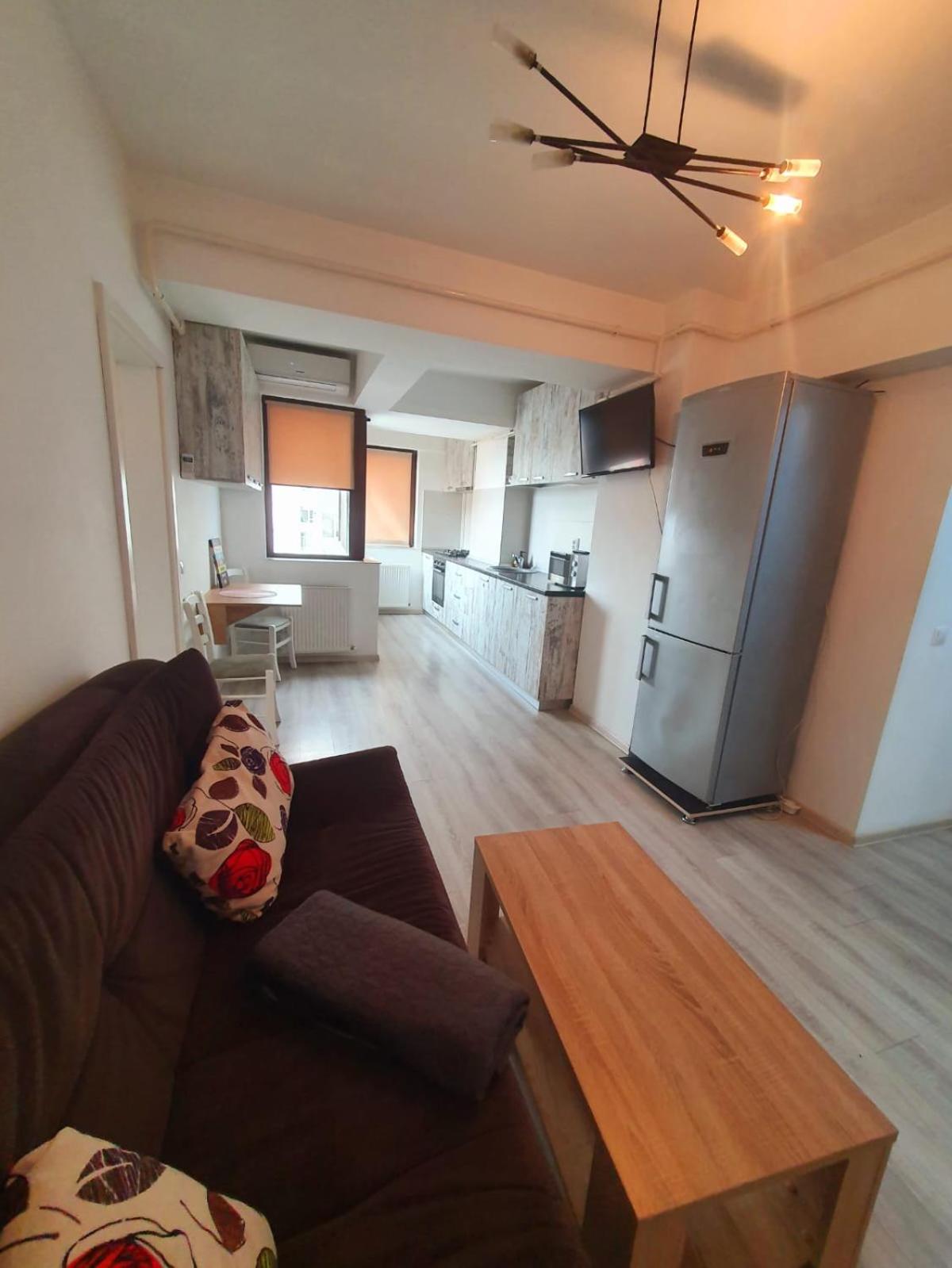 Oancea Residence - Image 3