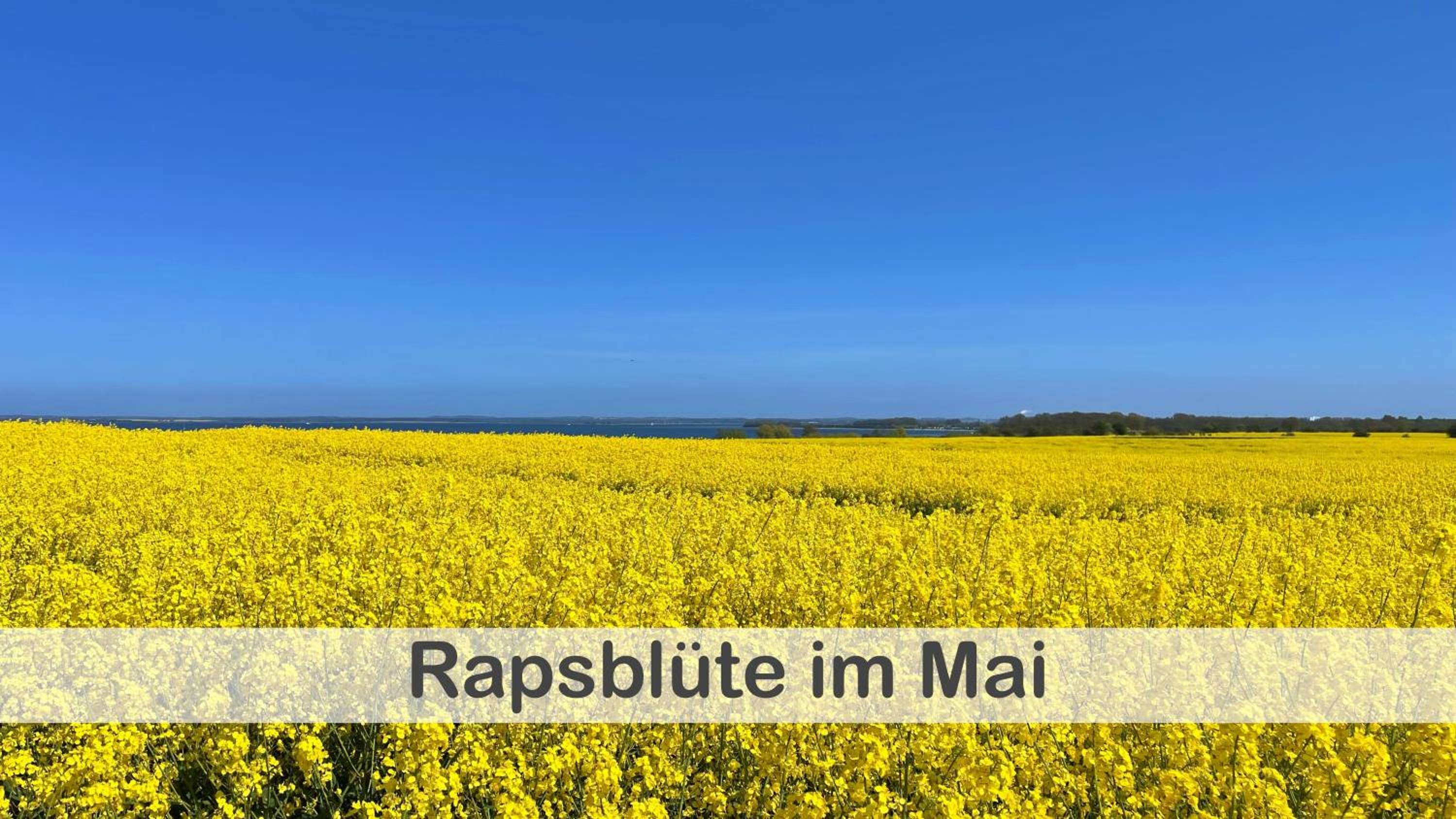 Fewo Anker im Gutshaus Hohen Wieschendorf, Entschleunigung pur für erholsame Tage