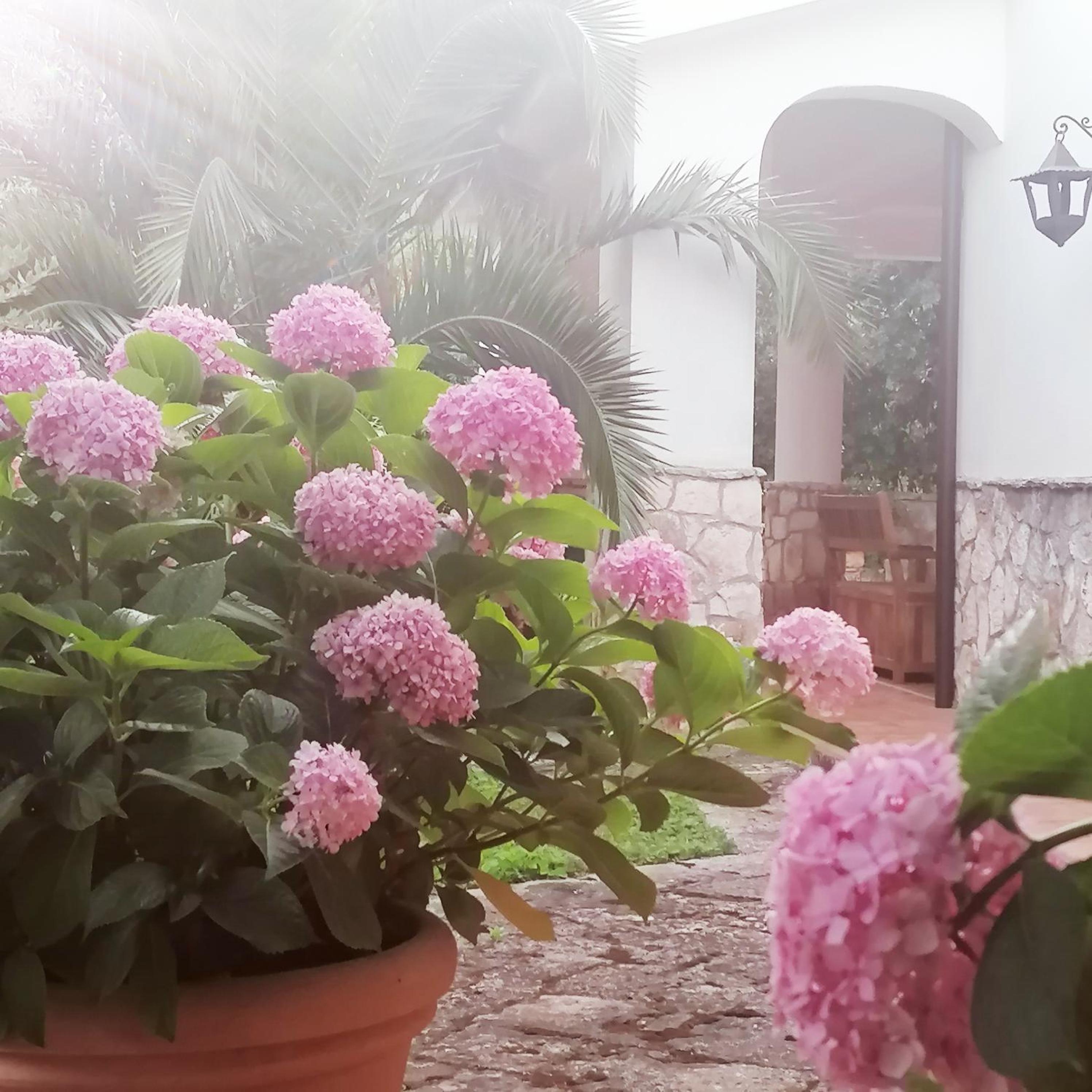 Casa Marisa Villa Vacanza view 5