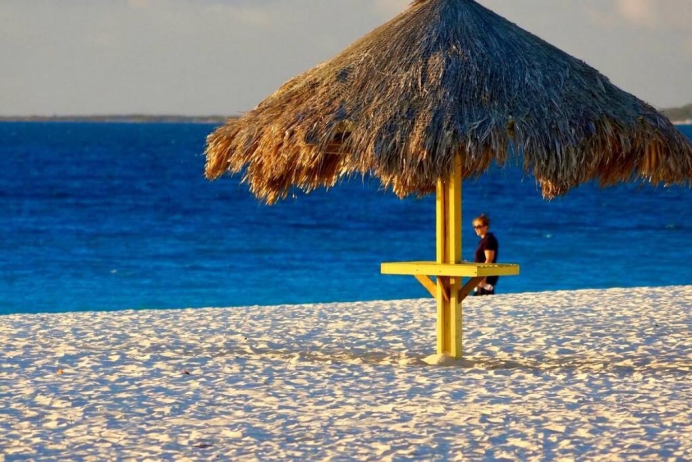 Villa and Pool walk to Palm Beach ideal for GROUPS