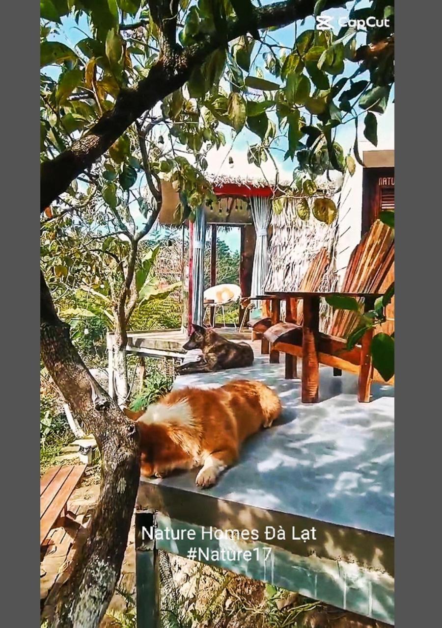 Natural Home Đà Lạt