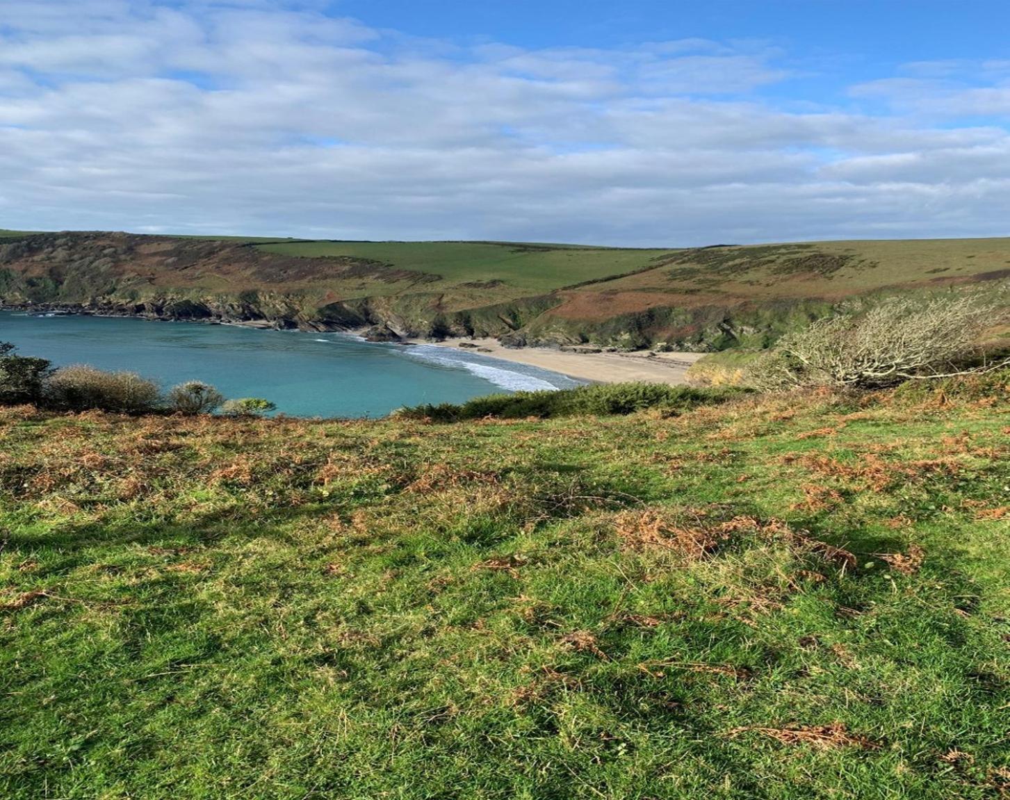 Looe Vacations - Horseshoe Cottage - Property Image 34