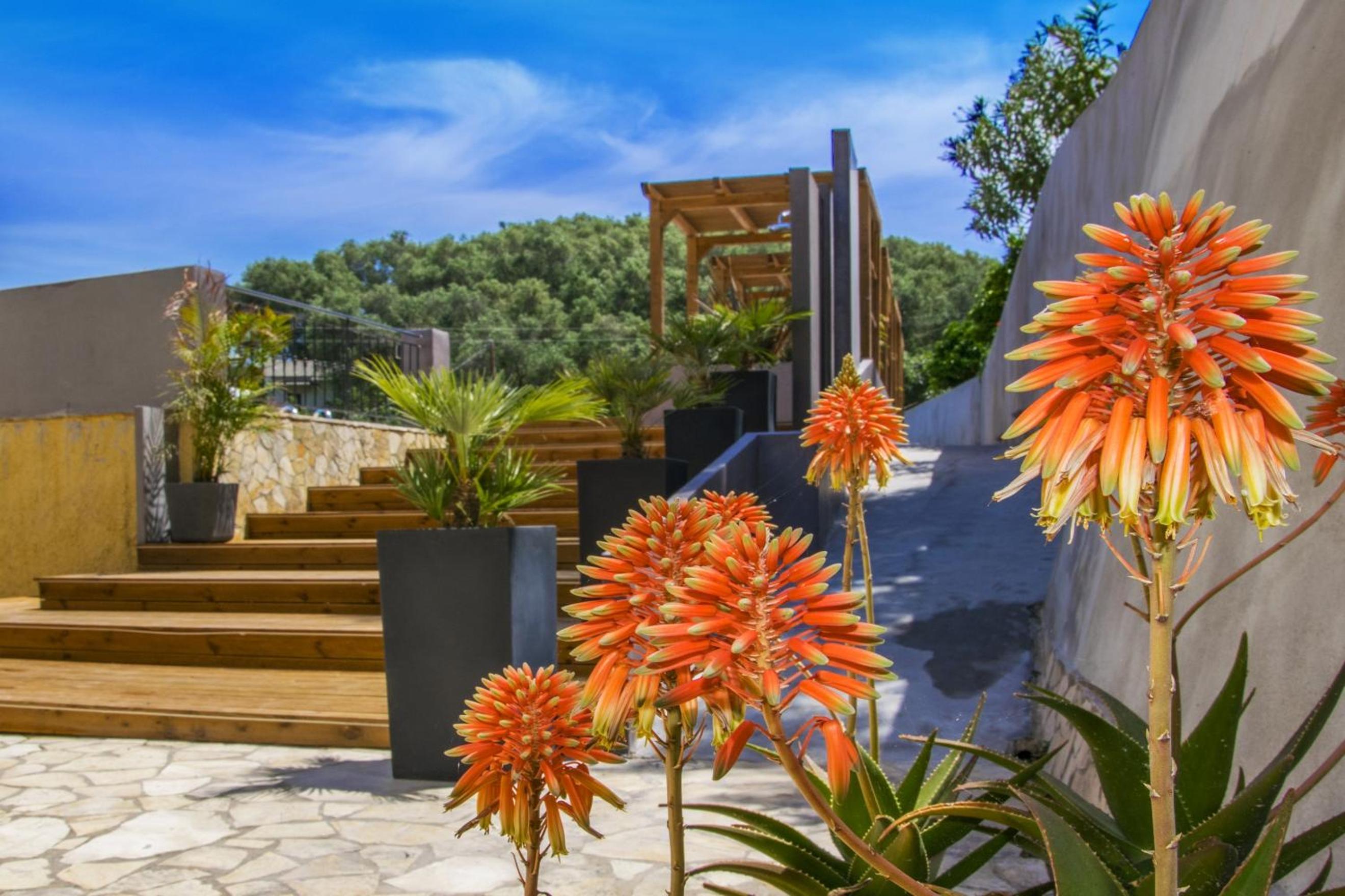 Ionian Eye Design Studios & Spa