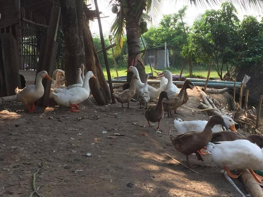 i AM i Farm Stay view 5