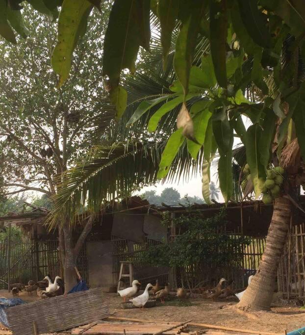 i AM i Farm Stay view 4