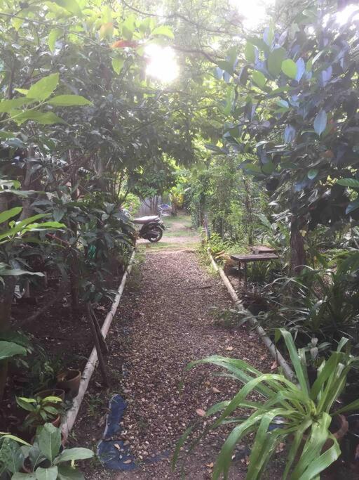 i AM i Farm Stay view 3