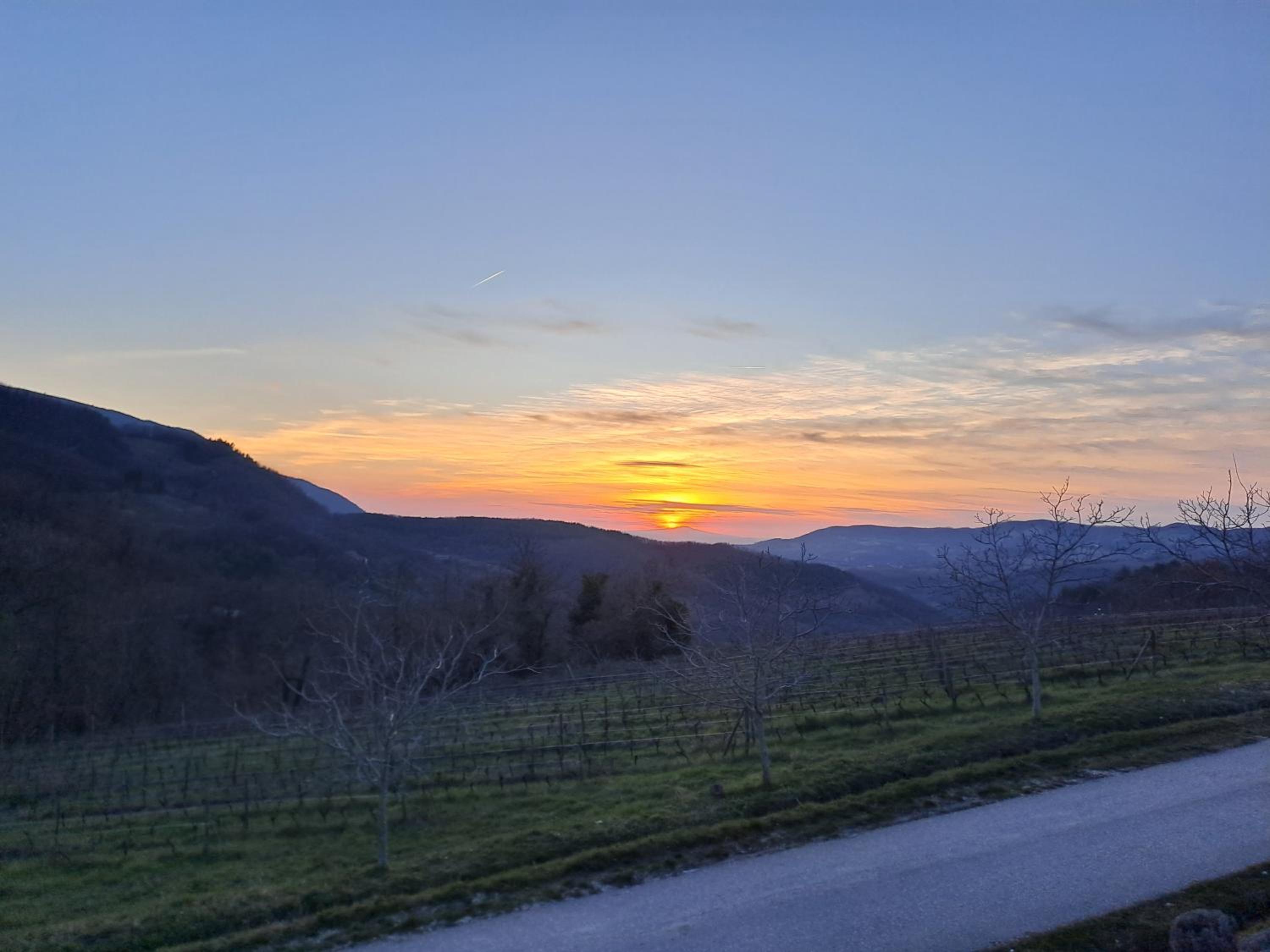 Photo 54