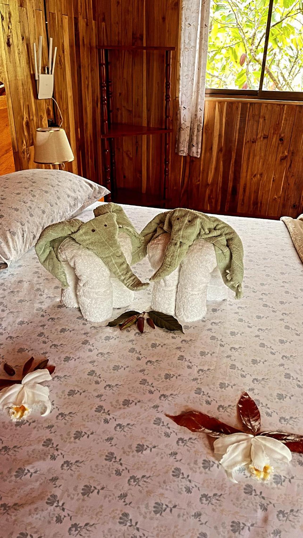 Río Celeste, Cacahua Lodge