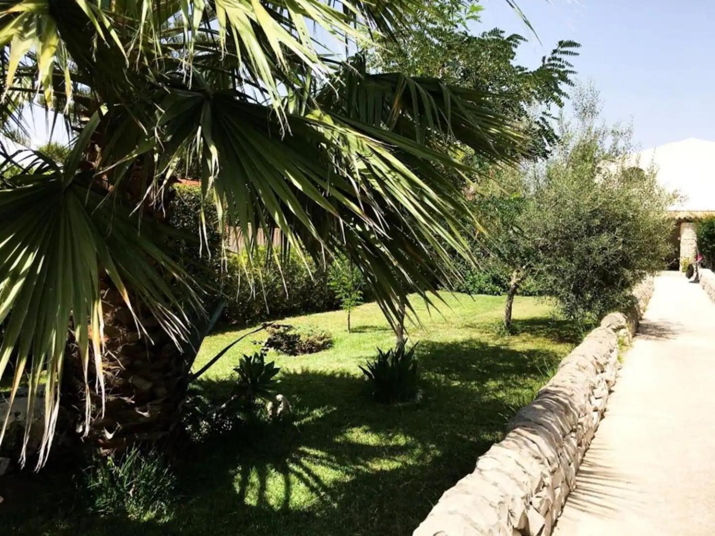 Photo 31