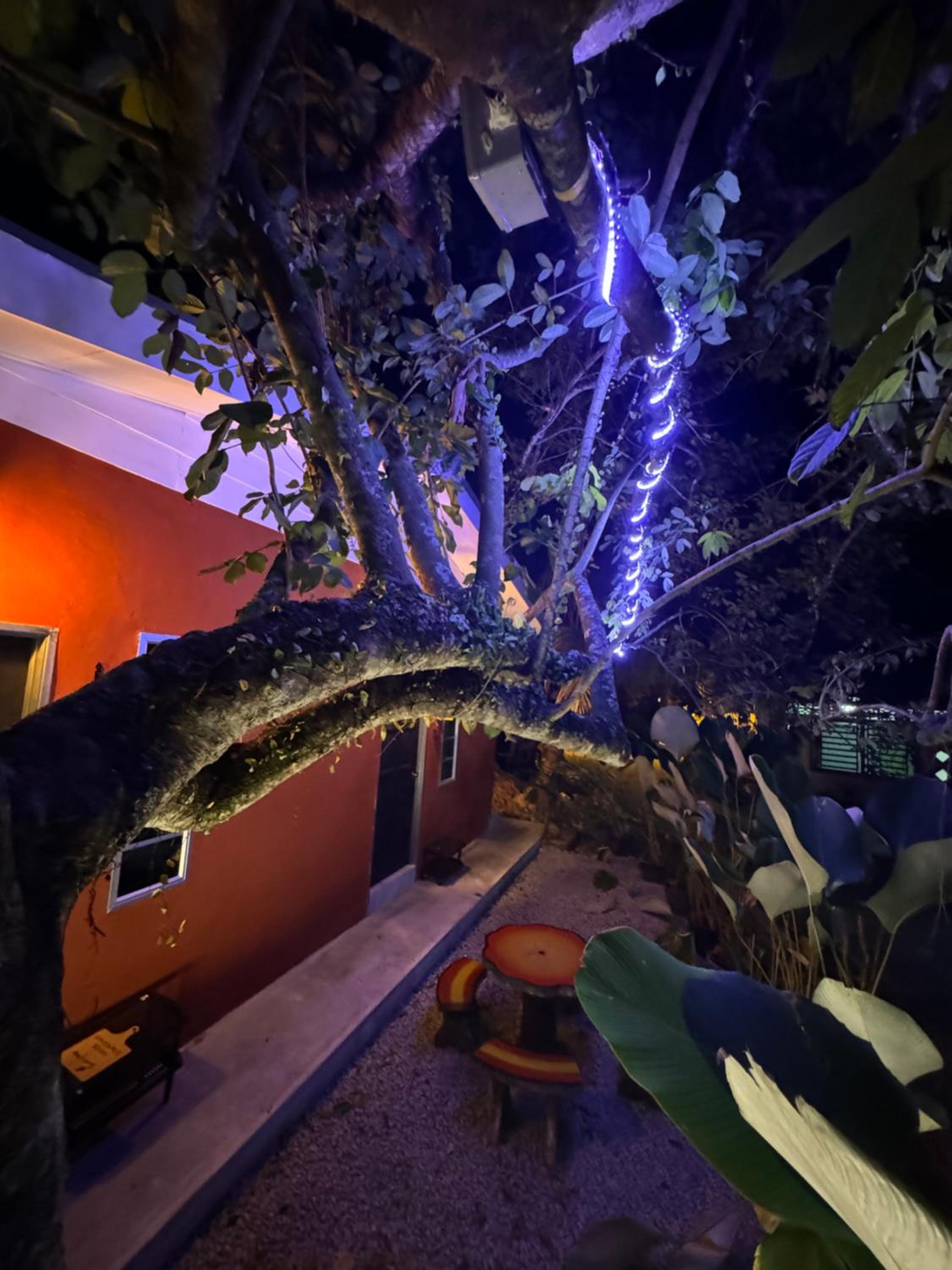 Cozy Scandinavi Guest room - Queen Bed, Free Netflix, Prime & Wi-Fi Near Bukit Mertajam photo 5