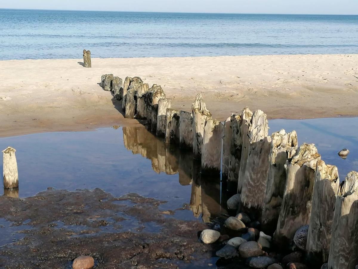 Reetdachhaus am Haff