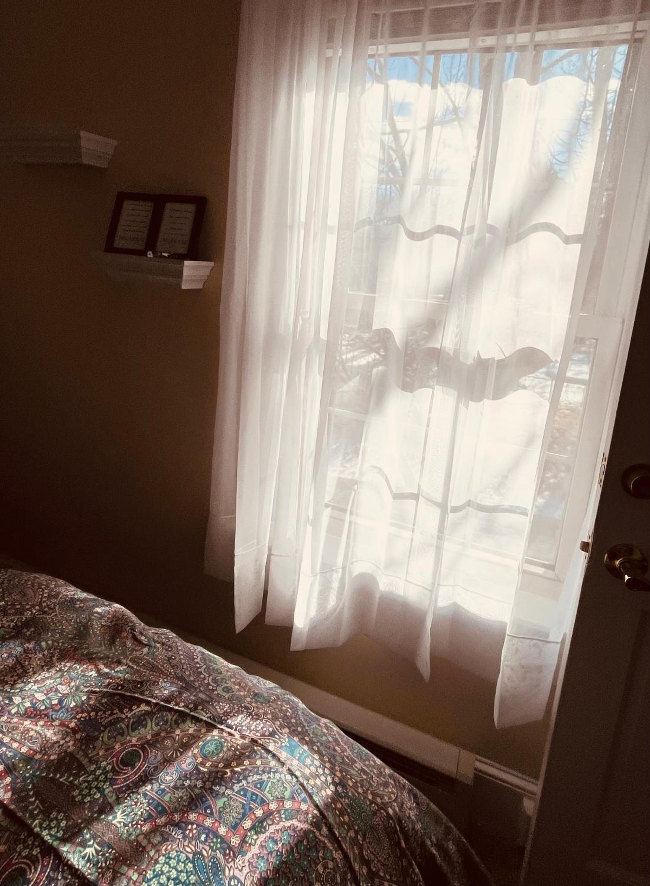 Photo 45