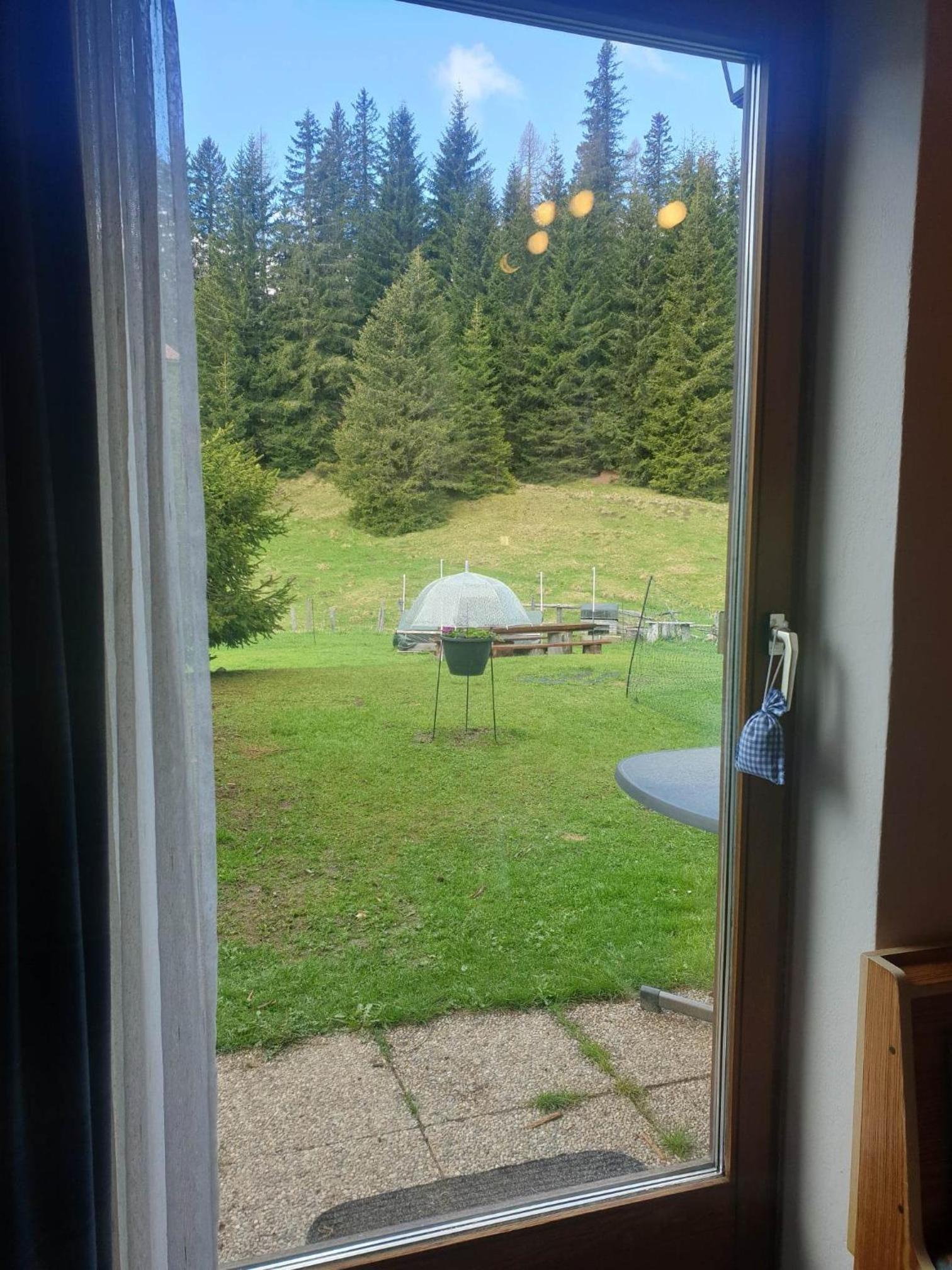 Ferienhaus Schäfer - Apartments - Wintersports - Family holiday - Holiday with your dog - Rural & Scenic