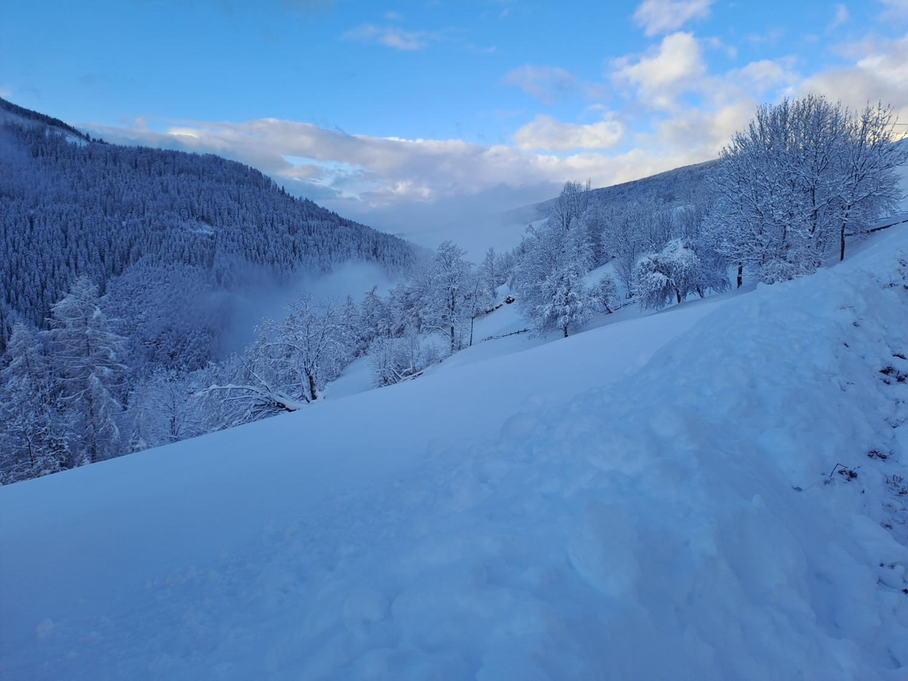 Landgut DIE AUSZEIT - Erholung am Berg 1300m