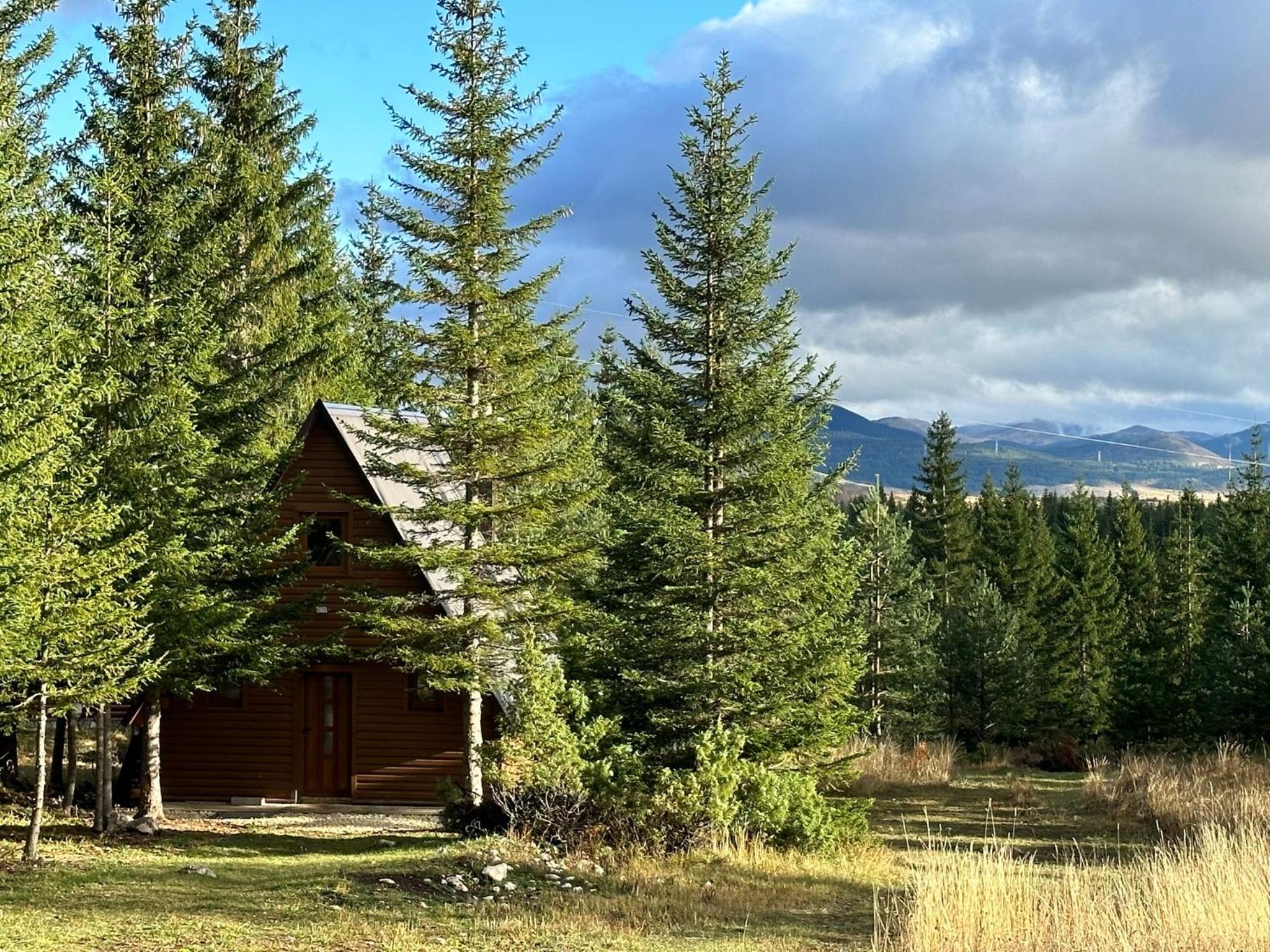 Wonderwood Cabin 2