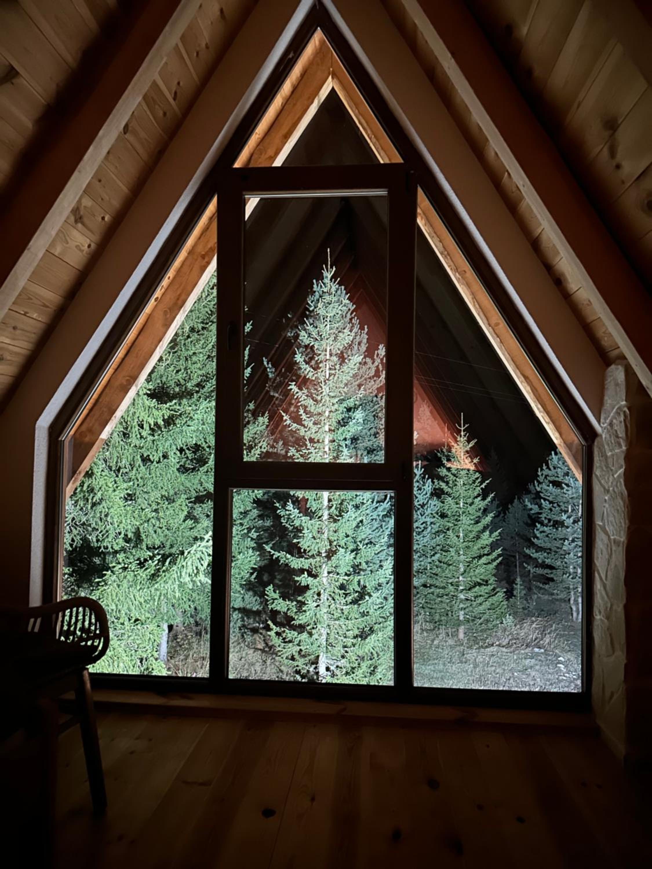 Wonderwood Cabin 2