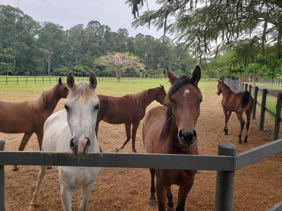 Linda casa 1h30 de SP dentro de HARAS com LAZER