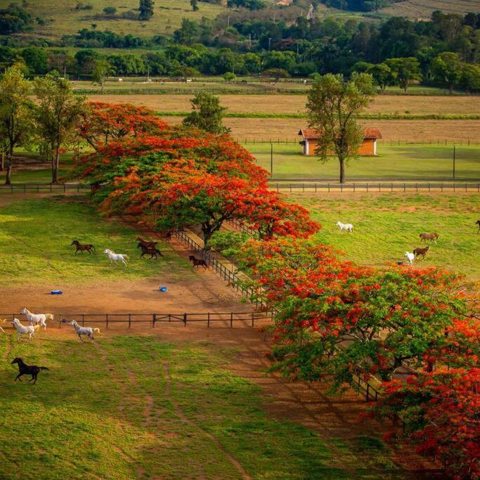 Linda casa 1h30 de SP dentro de HARAS com LAZER