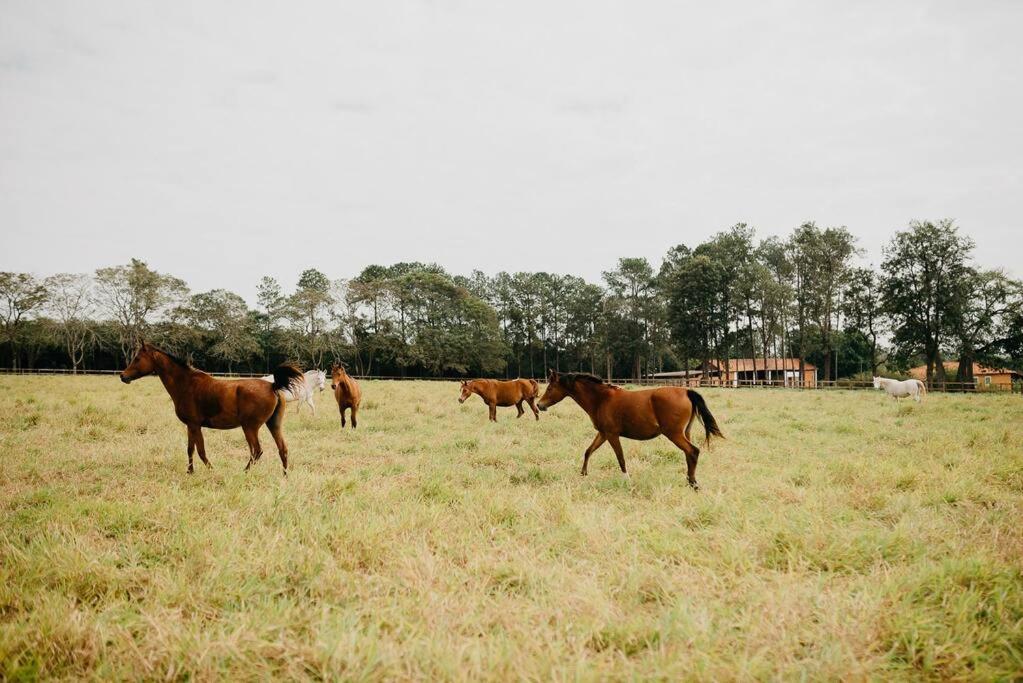 Linda casa 1h30 de SP dentro de HARAS com LAZER