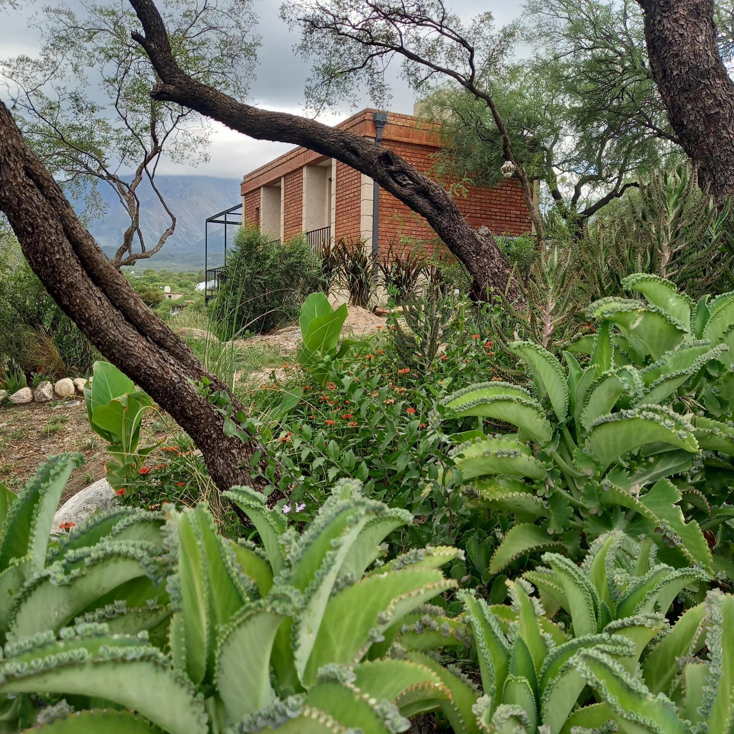 CABAÑA BELLEZA SERRANA