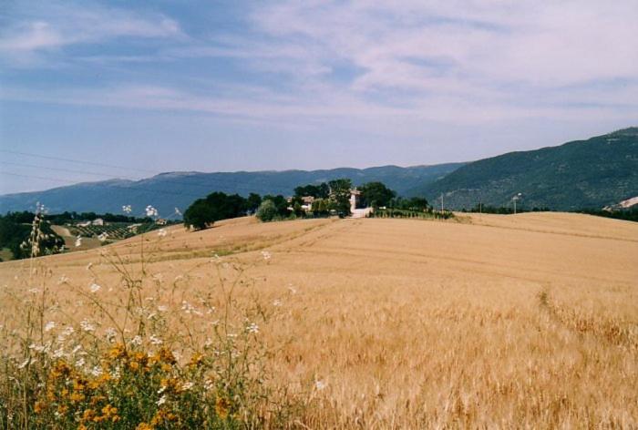 Casale Santomanno