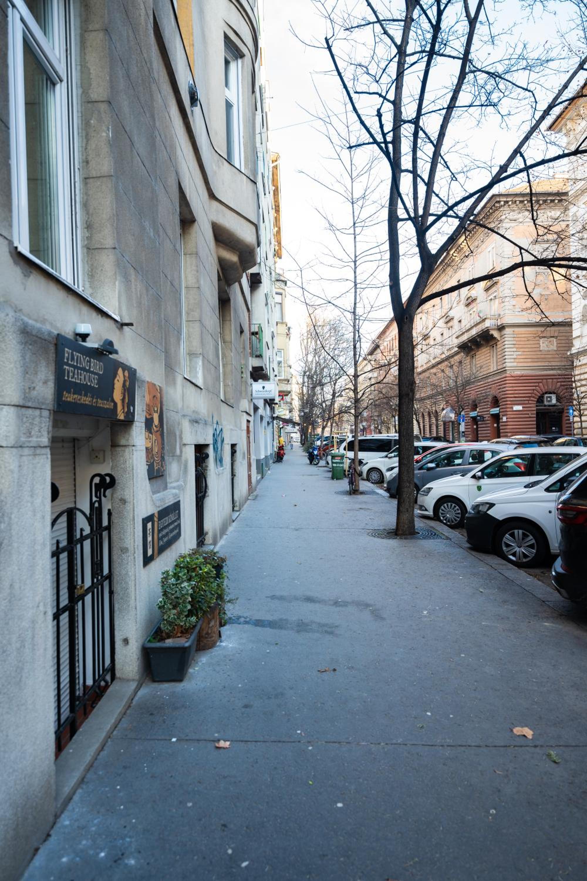 Photo 29