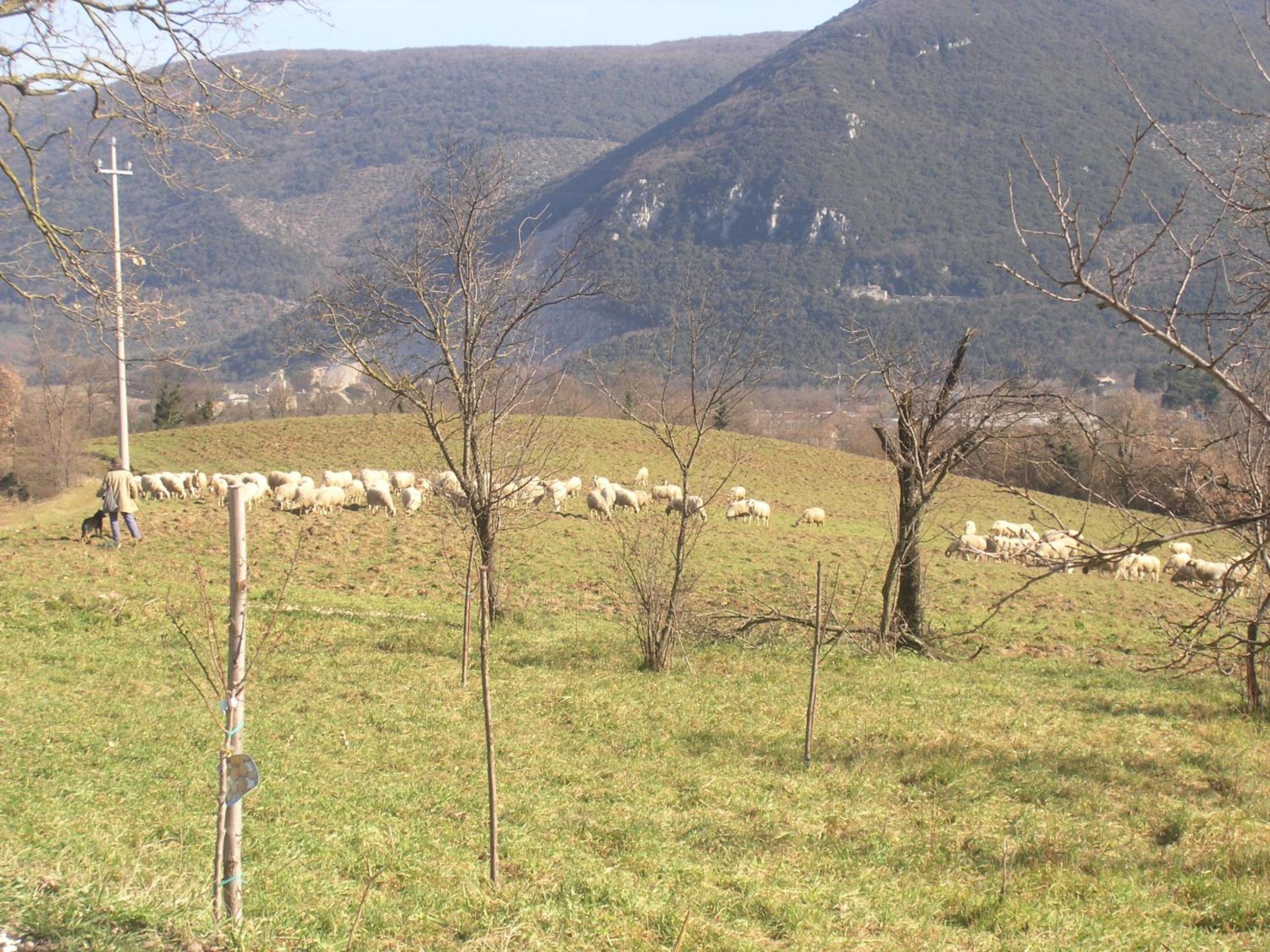 Casale Santomanno