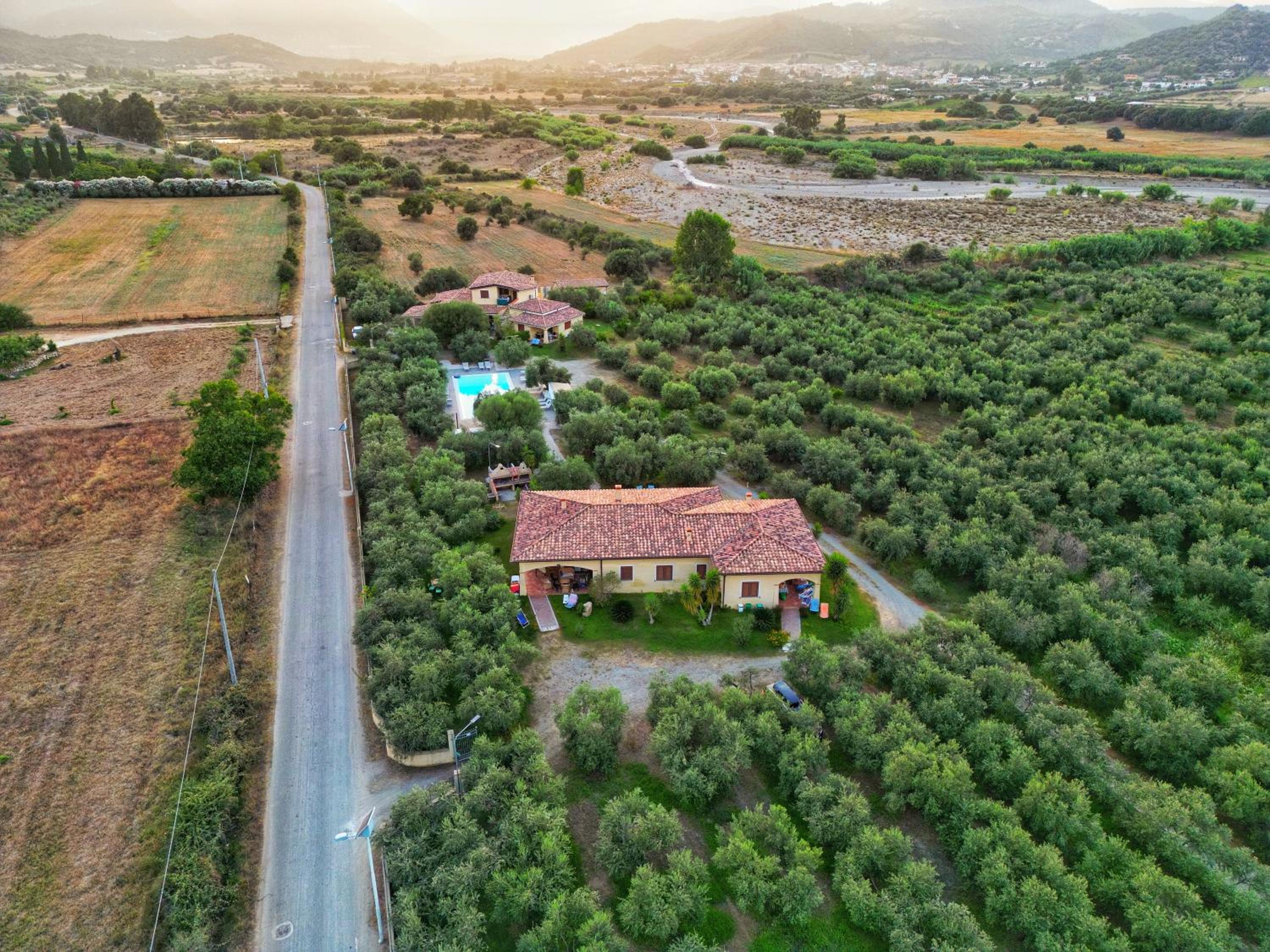 Armandiola