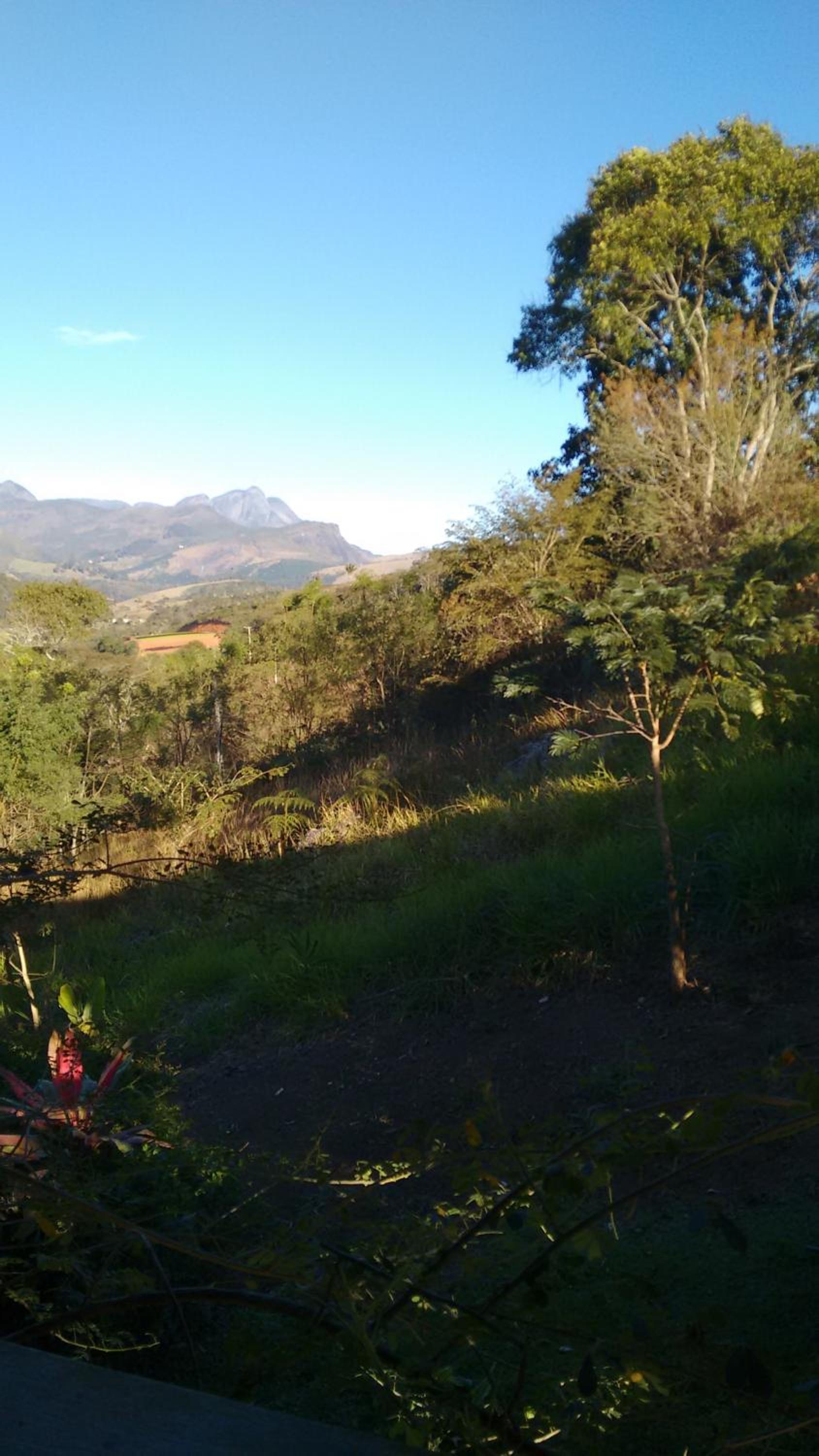 Curta o verde da montanha